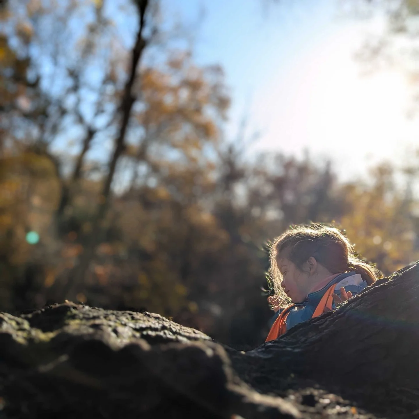 This week in the forest 📸🧡 #outdoornursery #forestschoolnursery #nursery #earlyyearsteaching #outdooreducation