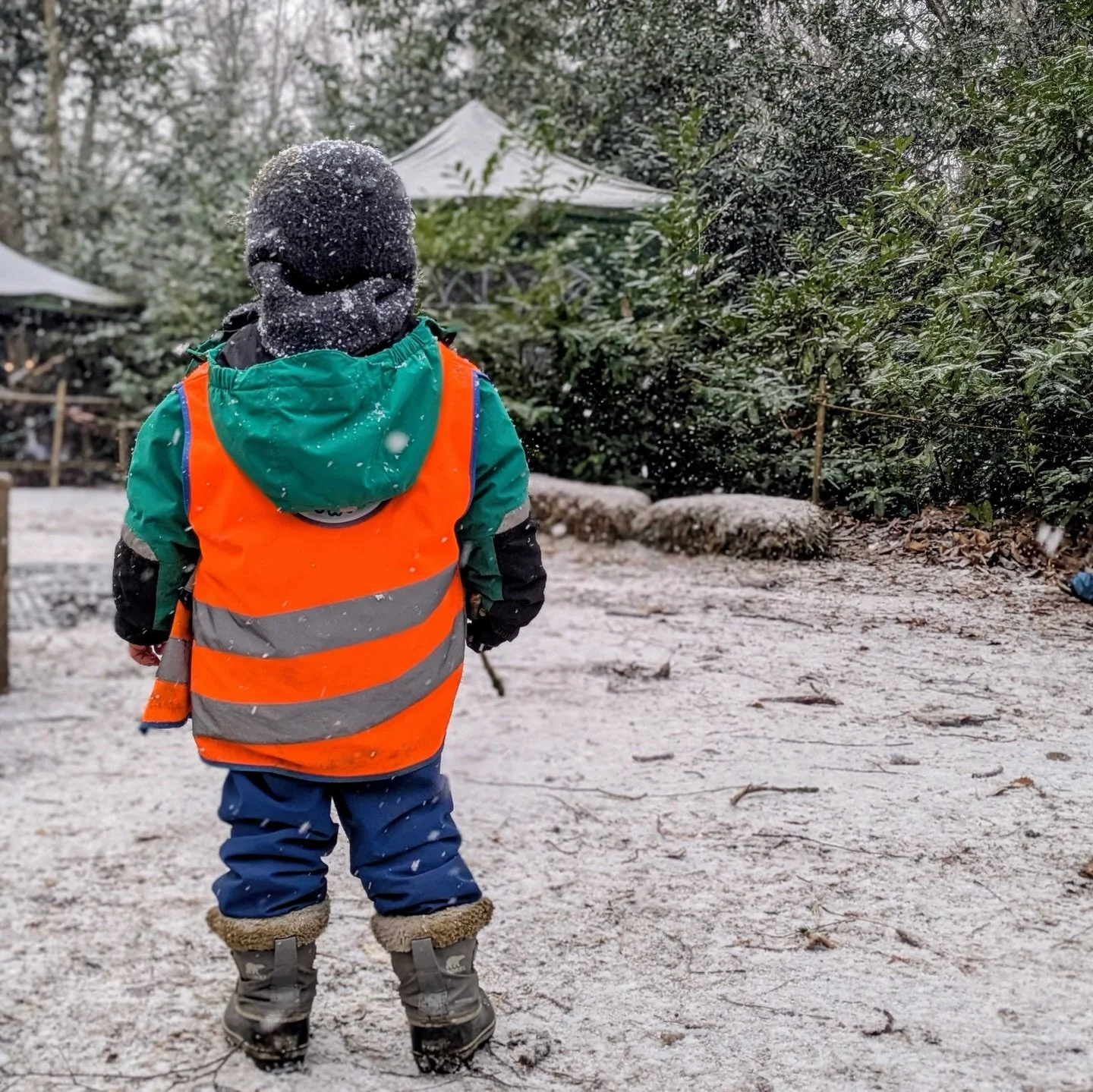 This week in the forest 🌳❄️ #outdoornursery #outdooreducation #forestschoolnursery #earlyyears #nursery