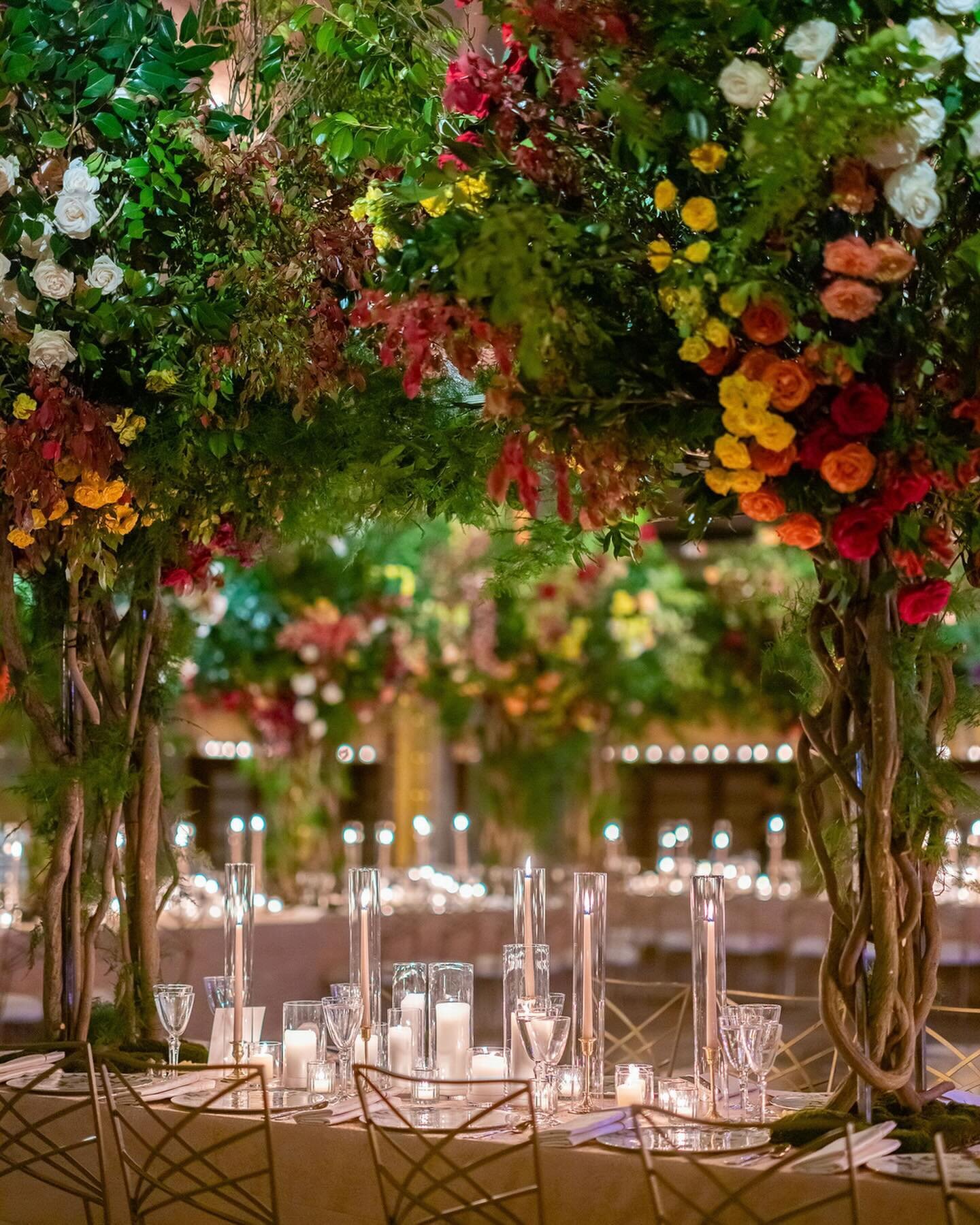 Months later, we're still thinking about these bold and bright blooms 🎨

Planning | @sidekickevents
Photo | @roeyyohaistudios
Venue | @nypl @nyplrentals
Catering | @olivierchengcatering
Chargers | @maisondecarine
Rentals | @luxeeventrentals
Dance Fl