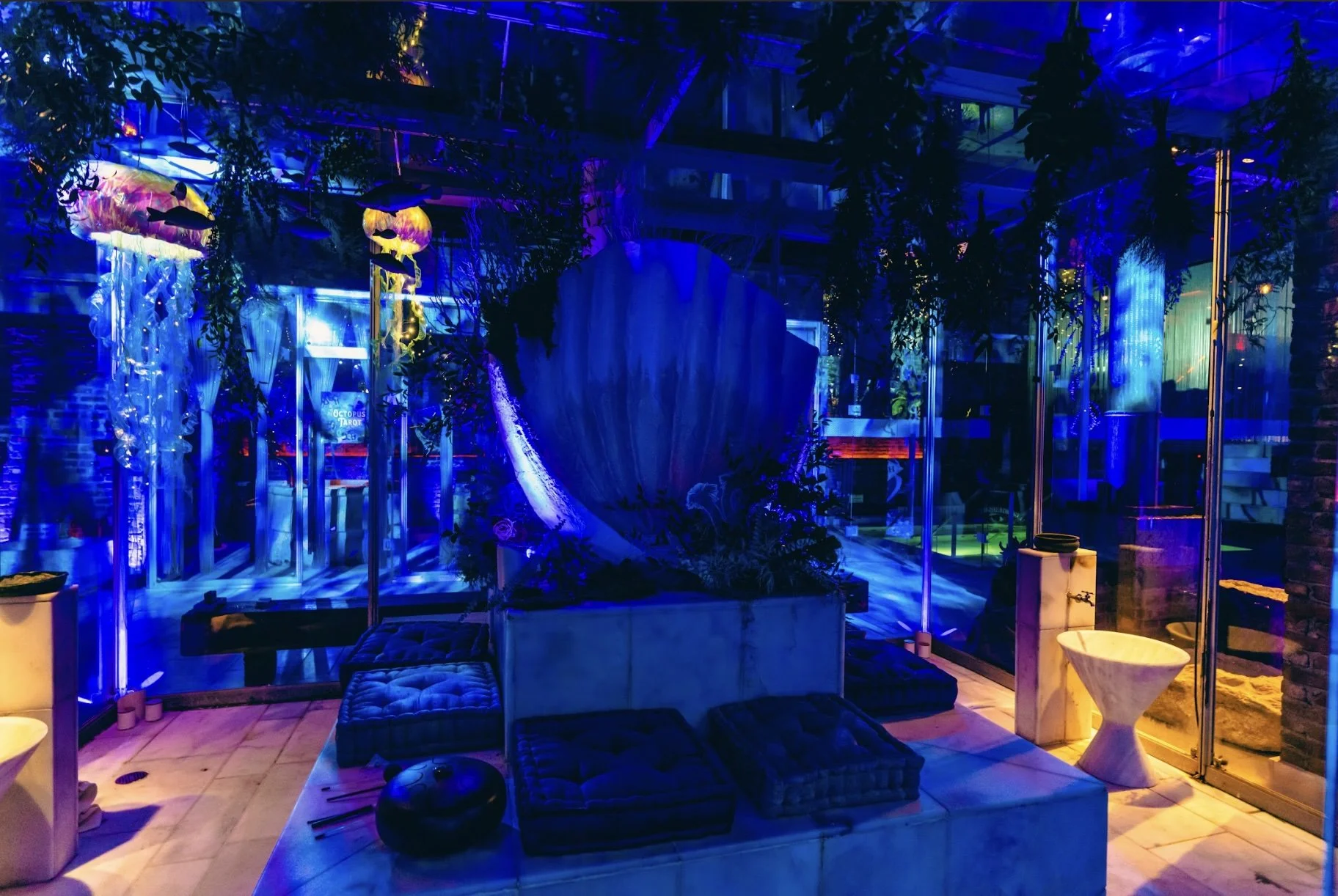 Clamshell throne for mermaid psychic, under the sea party