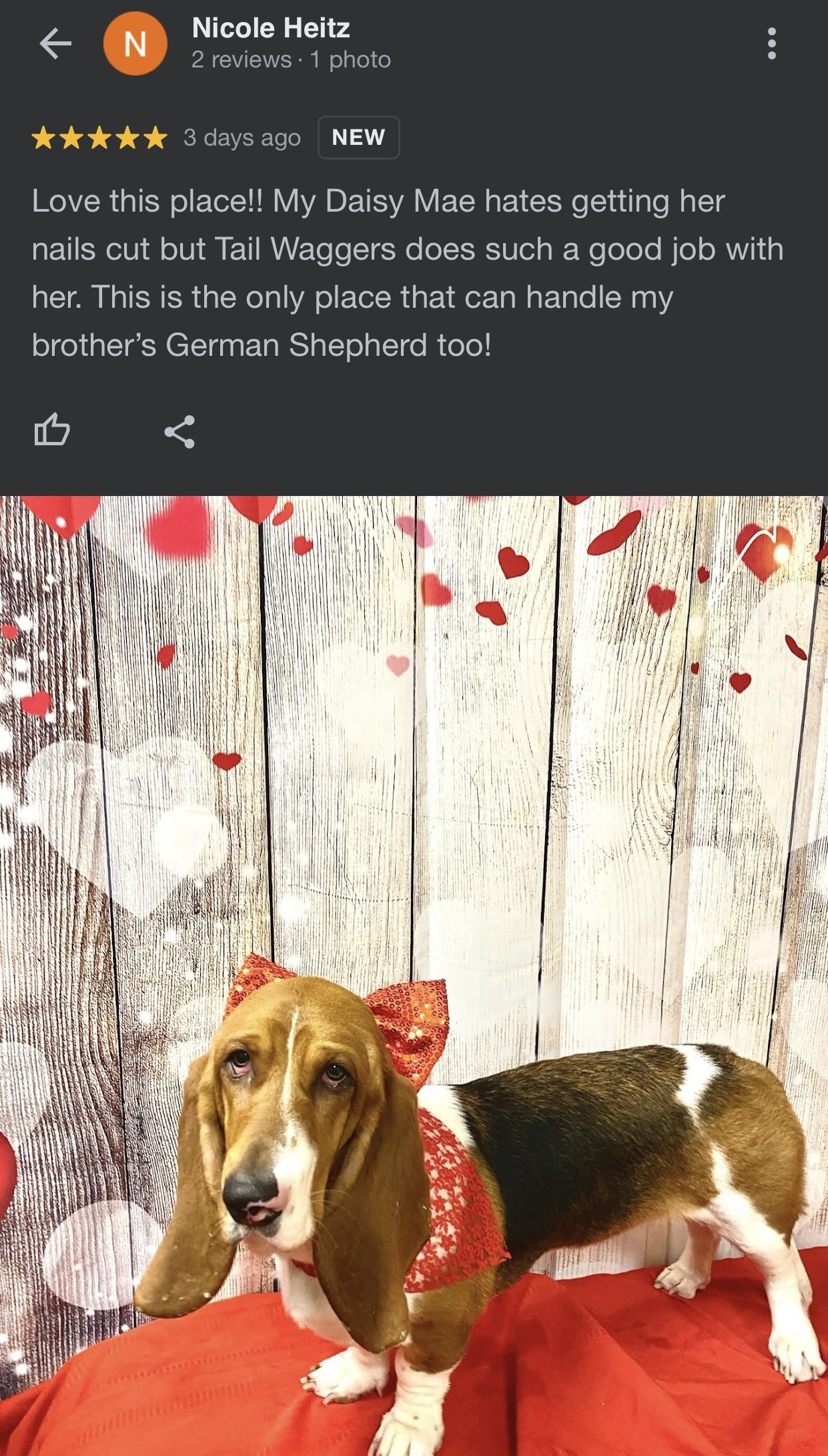 Tail Waggers Pet Spa