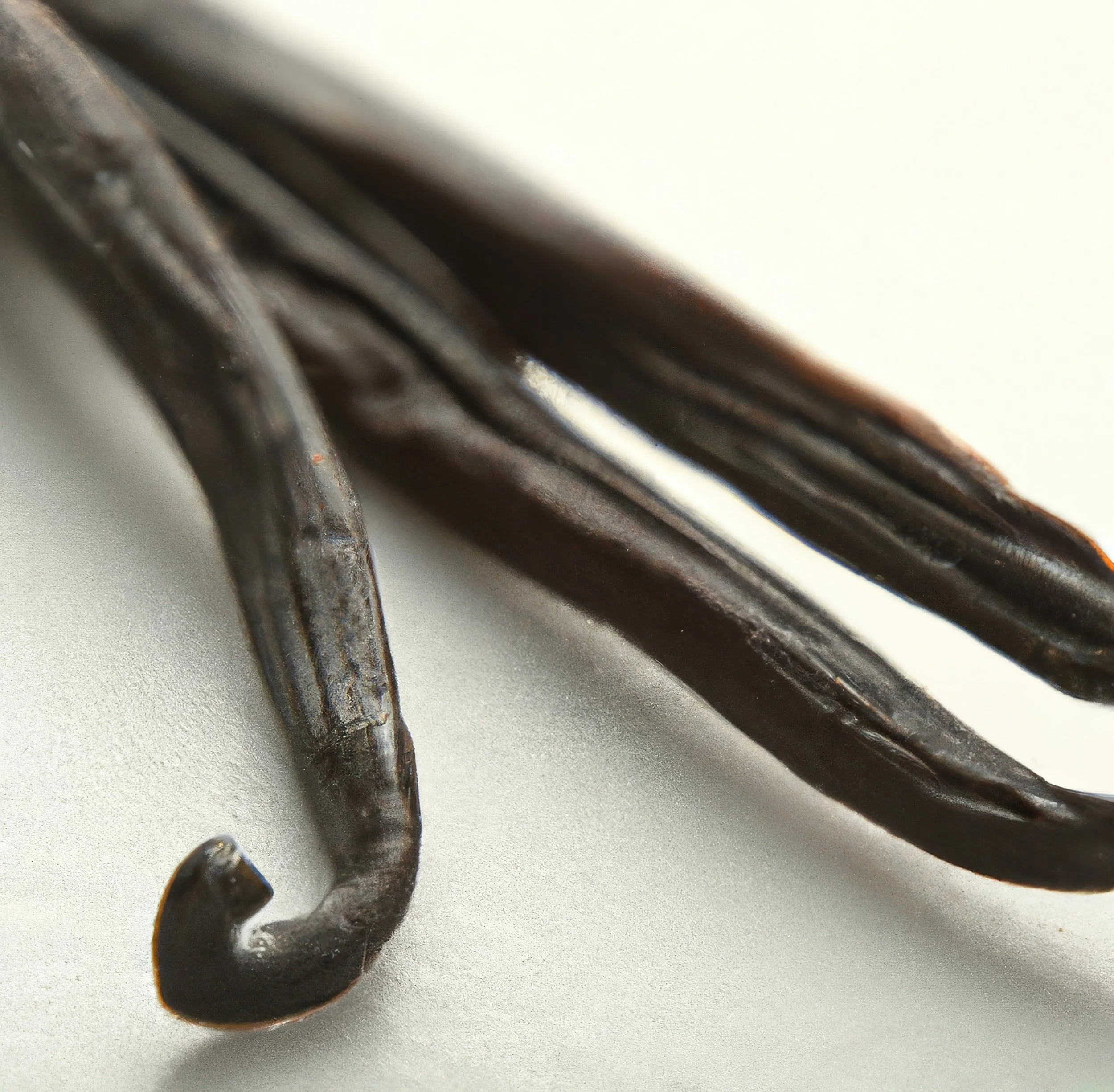 close-up-vanilla-pods-white-background-created-using-generative-ai-technology.jpg