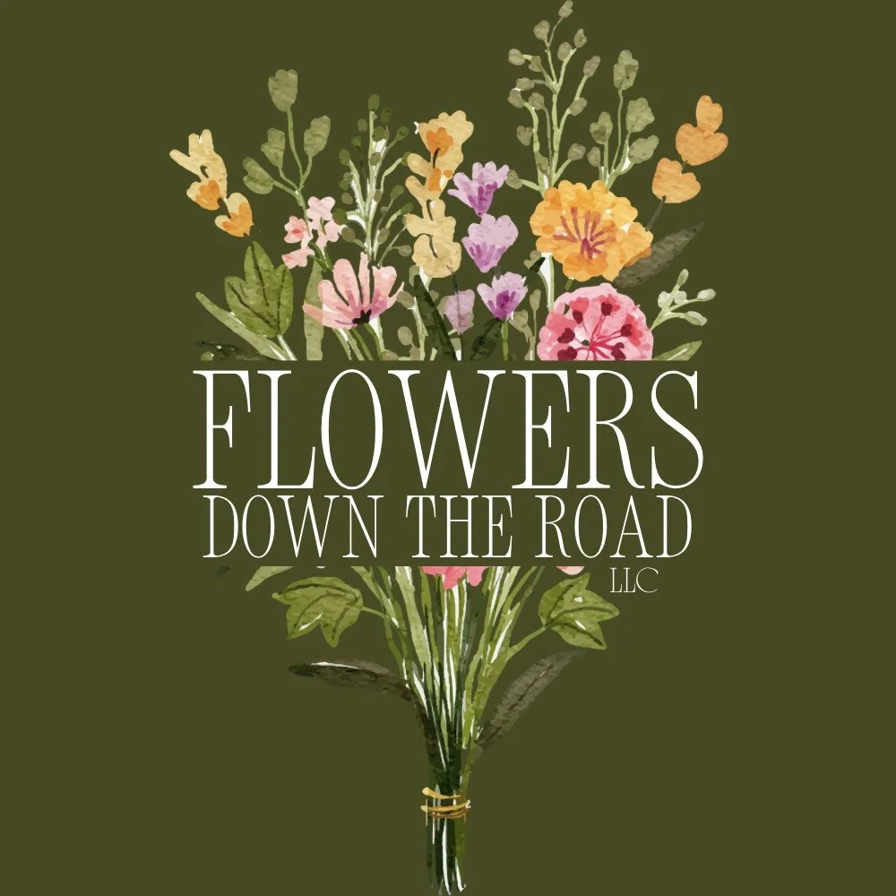 Pop Up: Flowers Down The Road