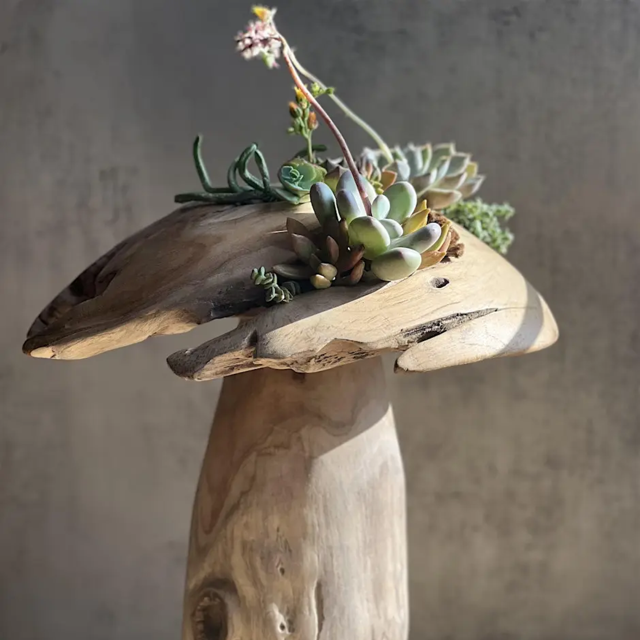 Succulent Mushroom Living Art Workshop