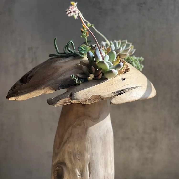 Succulent Mushroom Living Art Workshop