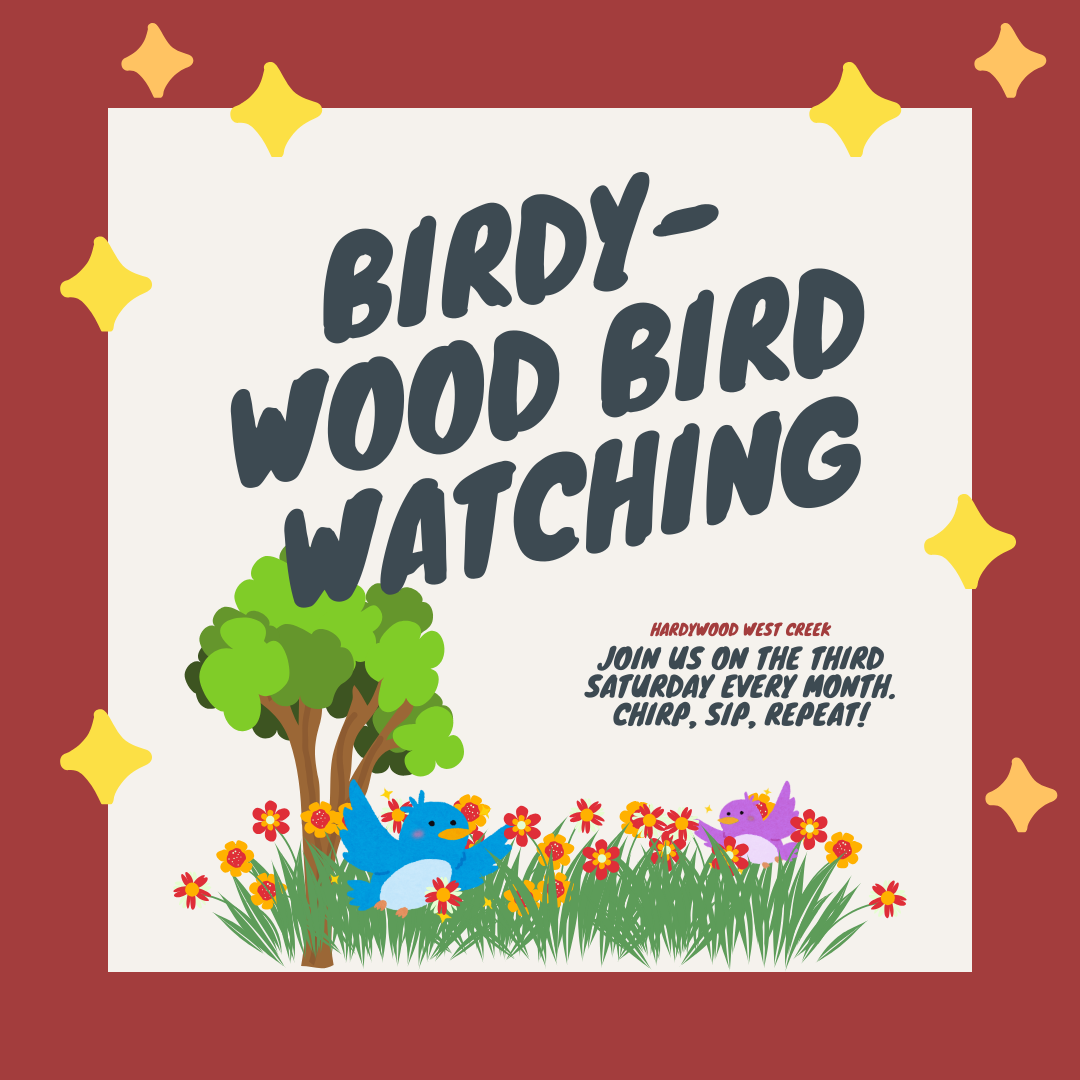 Birdywood: Bird Watching
