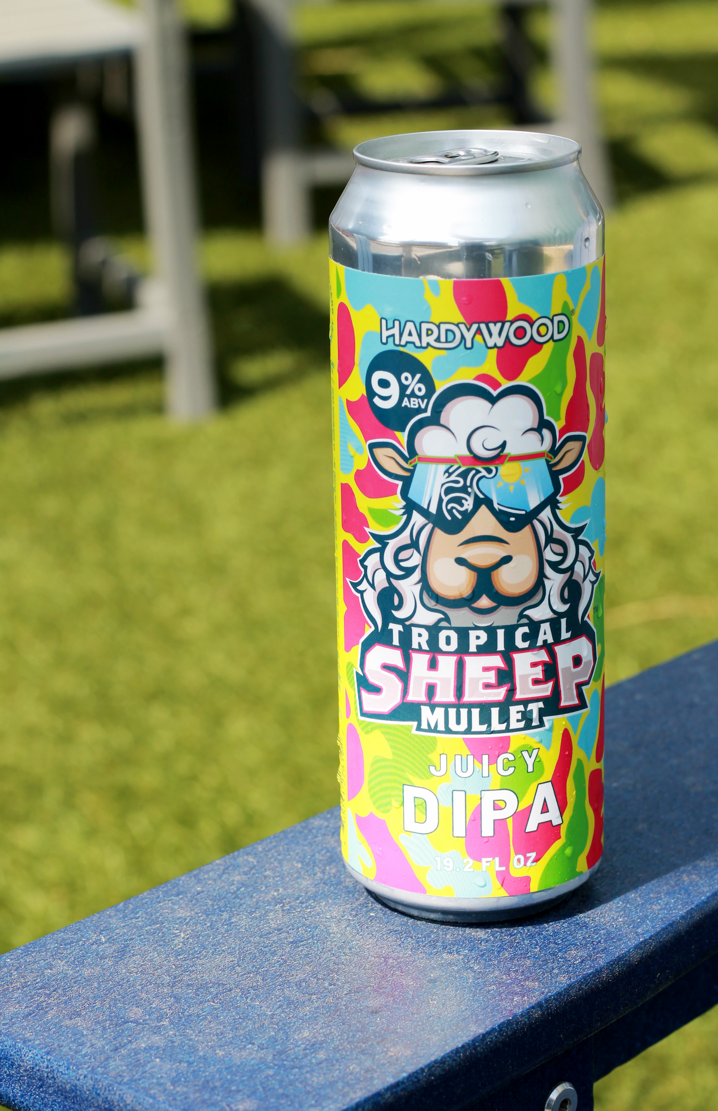 Hardywood Tropical Sheep Mullet on chair