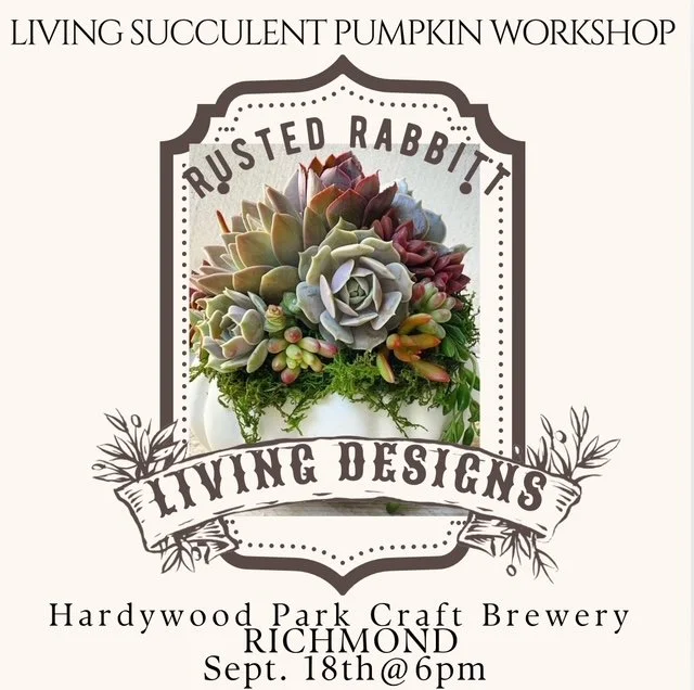 Rusted Rabbit: Living Succulent Pumpkin Workshop — Hardywood Park Craft ...