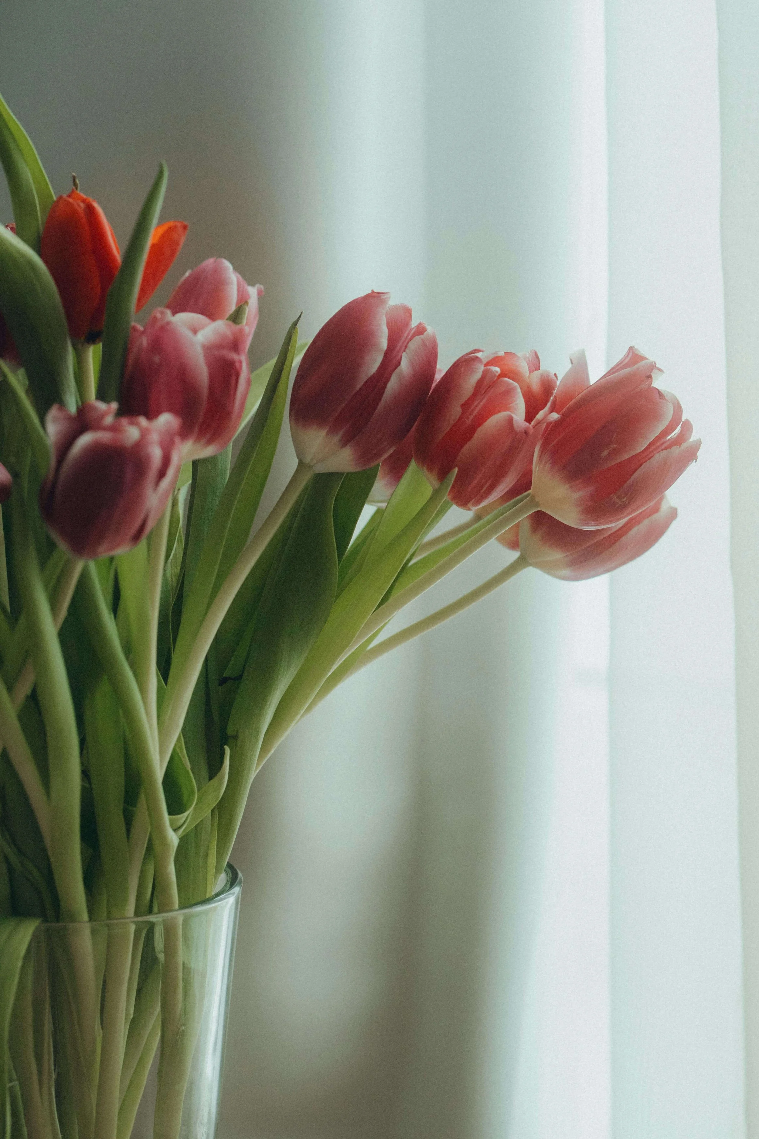 Setting Boundaries With Mom on Mother’s Day: Therapy for Young Adults in Bay Shore, NY