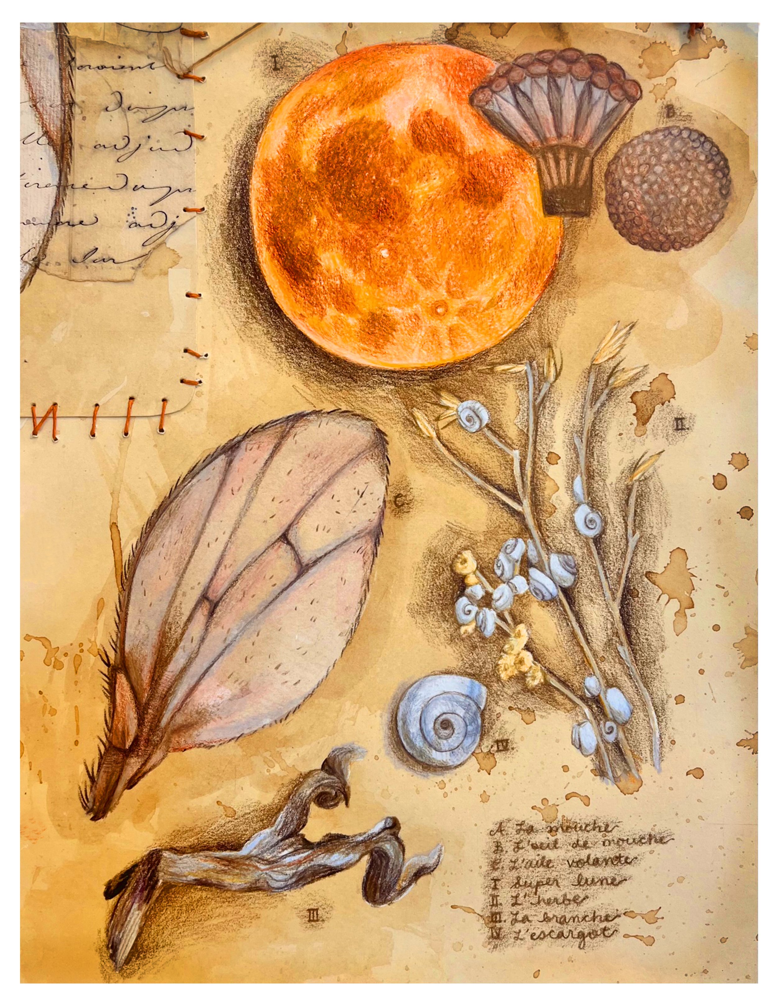 FLYPRINT2 8.5X11.jpg