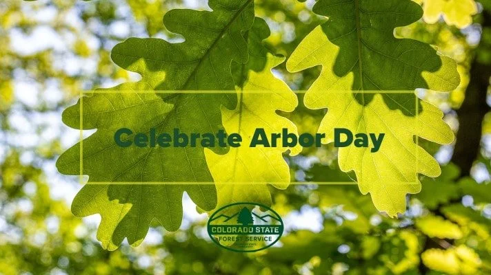 April 2026 Volunteer Workday &amp; Arbor Day Tree Planting Event