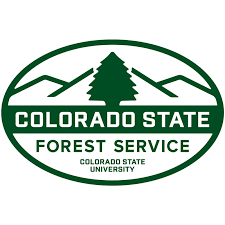 CSFS Tree Pruning Workshop