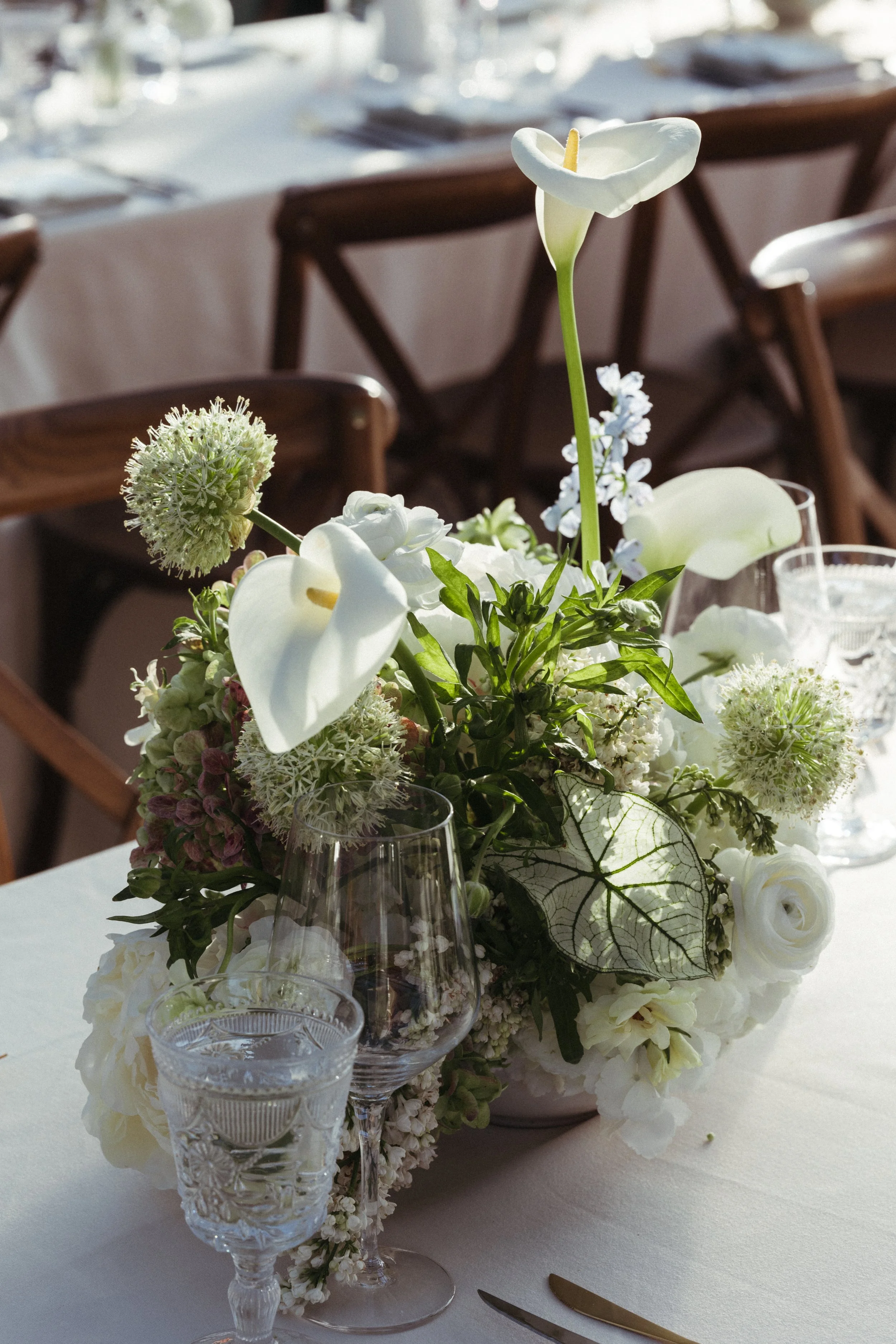 CatieMaggieWedding_-808.jpg