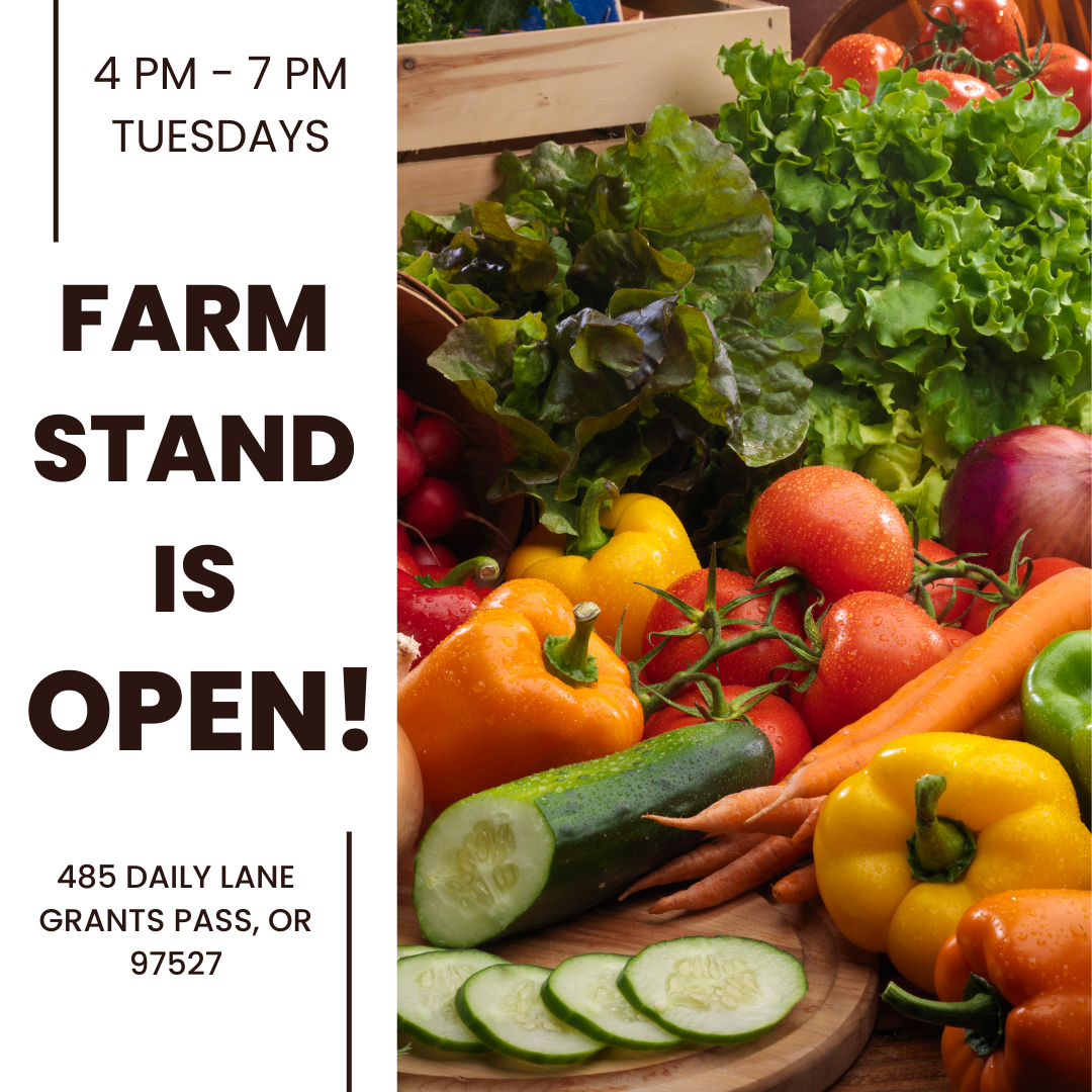 Farm Stand Open!