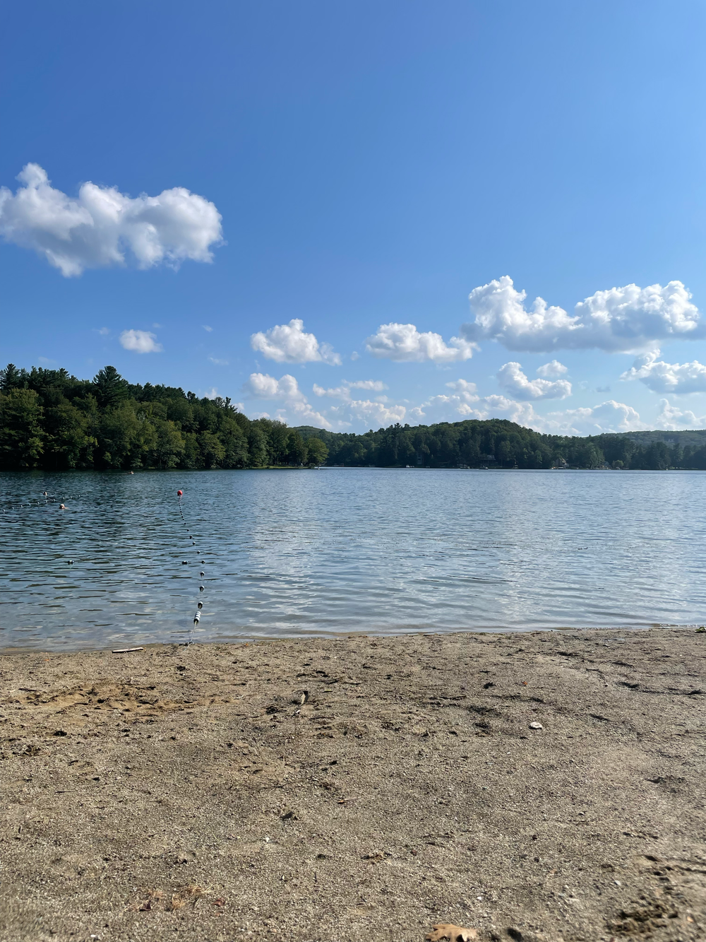 Membership — Adams Point Beach Association