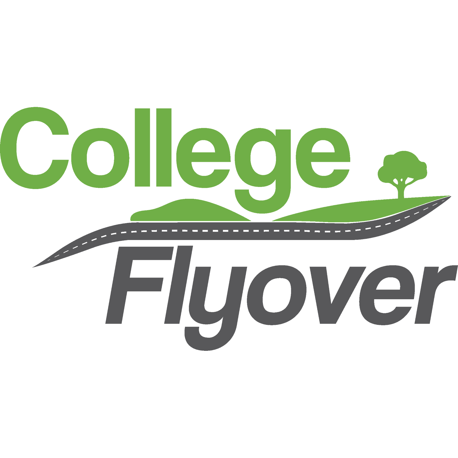 College Flyover Project