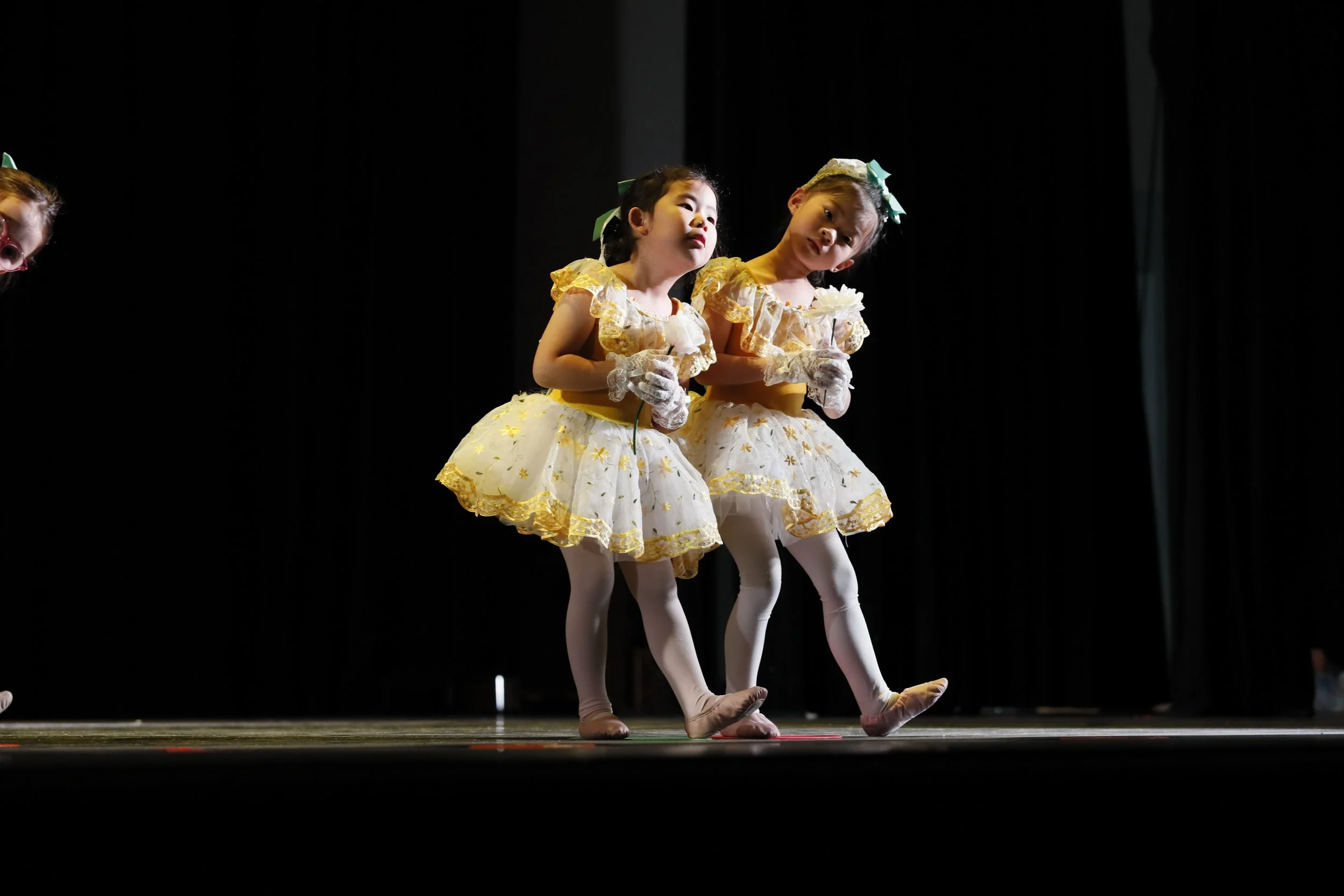 20242025 Schedule — Edgewater Performing Arts