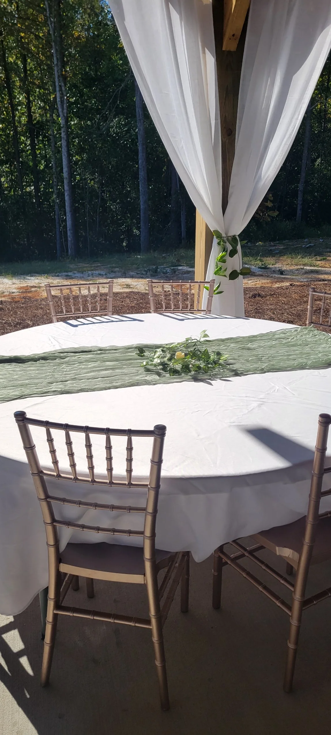 pav table 2.jpg