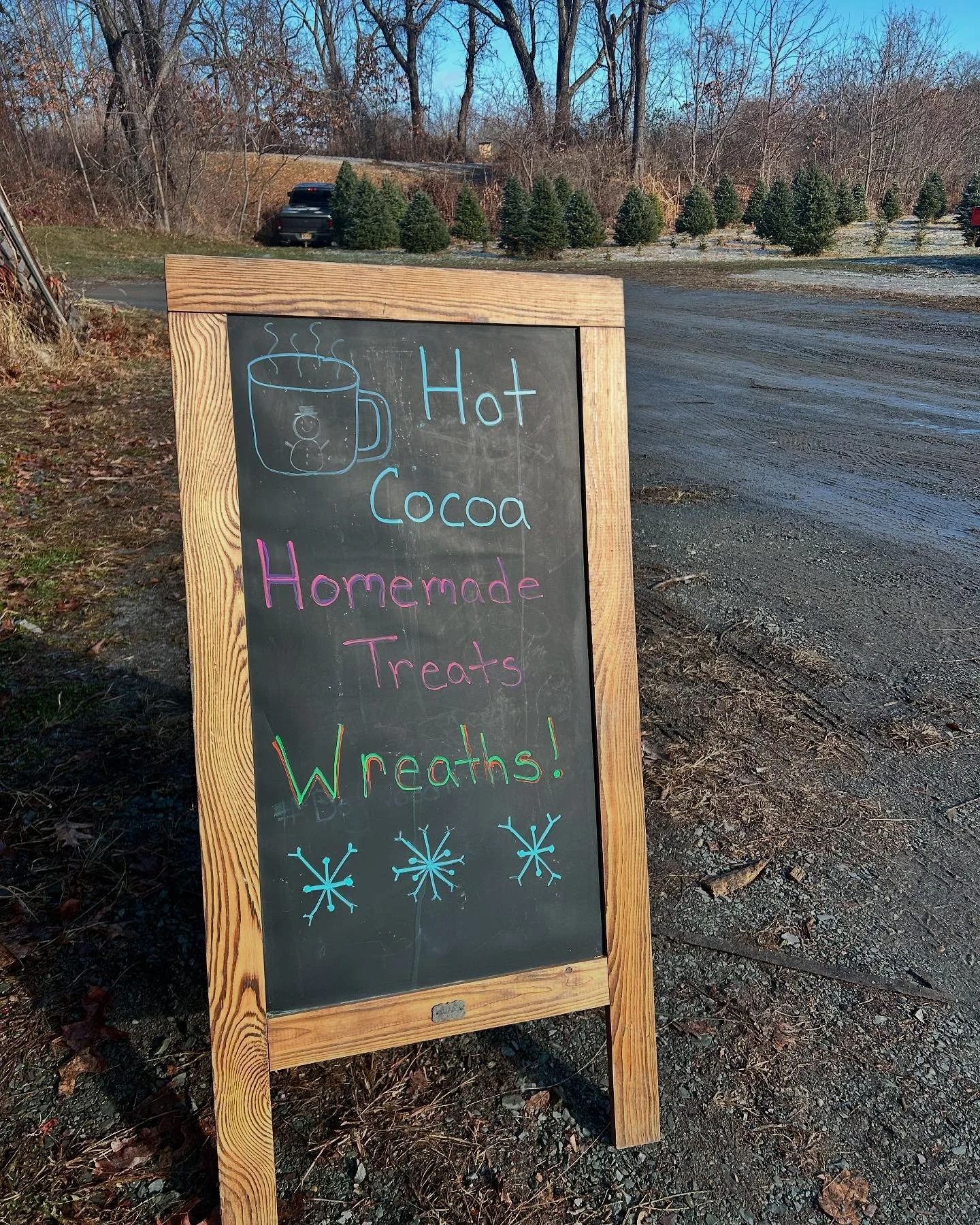 We&rsquo;re all set up and ready so come say hi and pick out your perfect tree!

10am - 4pm (or until we sell out)
1577 Route 9 Castleton-on-Hudson

#willowwoodfarm #castletonchristmastrees #freshbaked #organic #christmas #magic