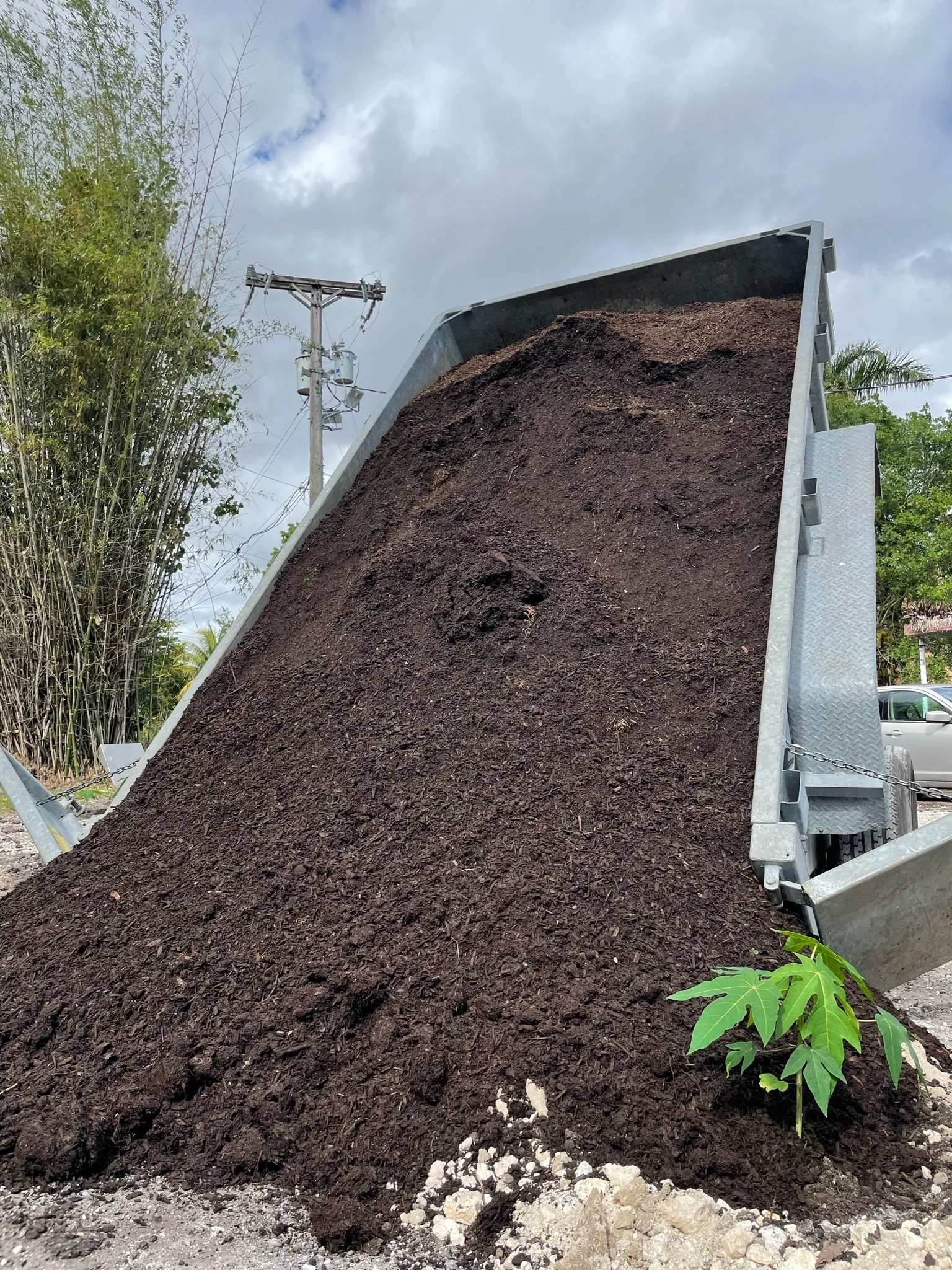 Bulk Compost (cubic yard) — Compost
