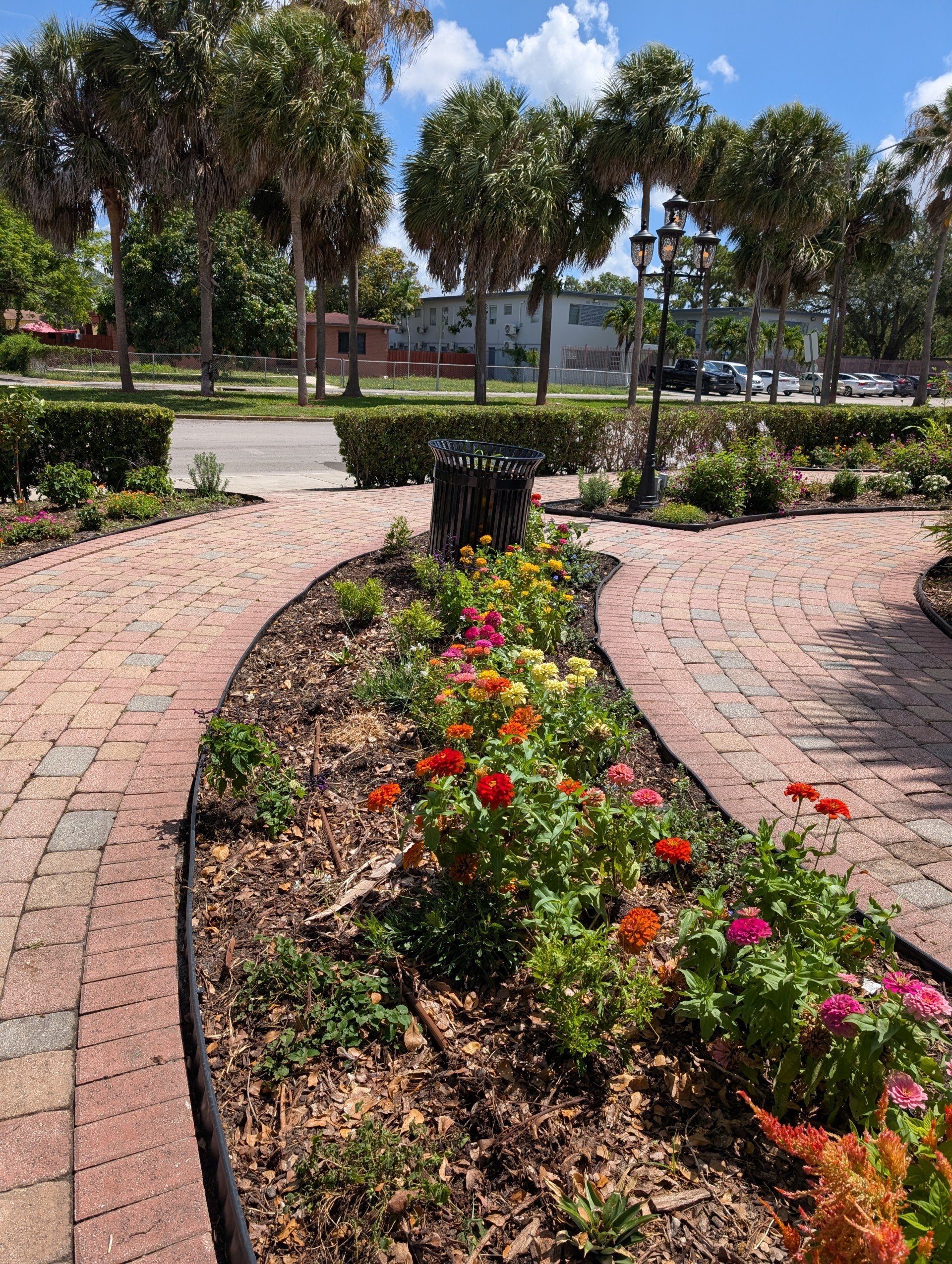 Opa Locka Garden 2.jpg