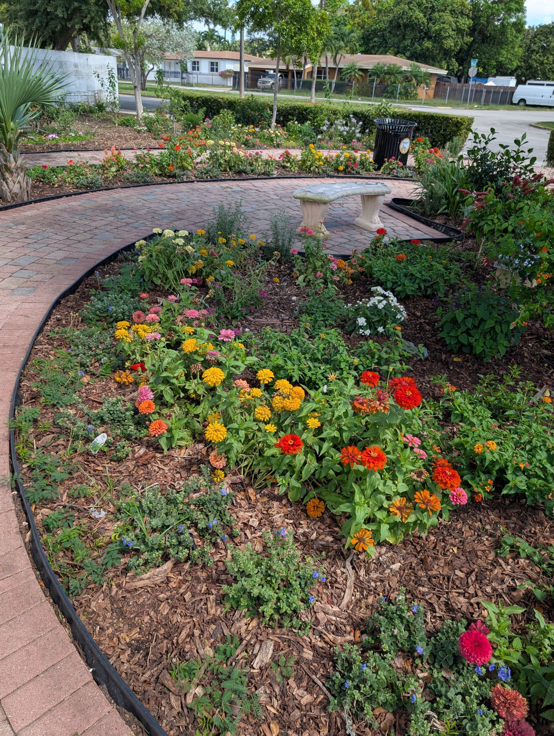 Opa locka garden 3.jpg