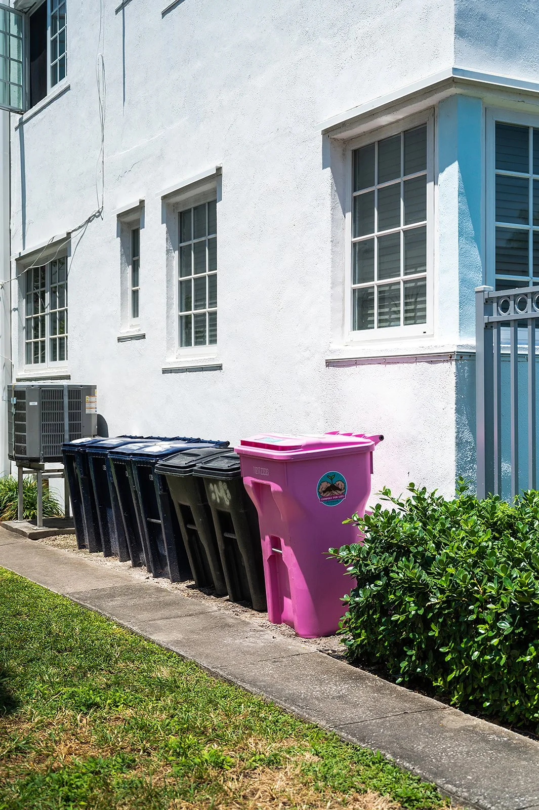 Line of recycling bins and trash cans outside a white building with windows, next to a small green bush and a sidewalk.