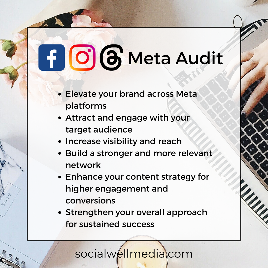 Meta Audit - Social Well Media.png