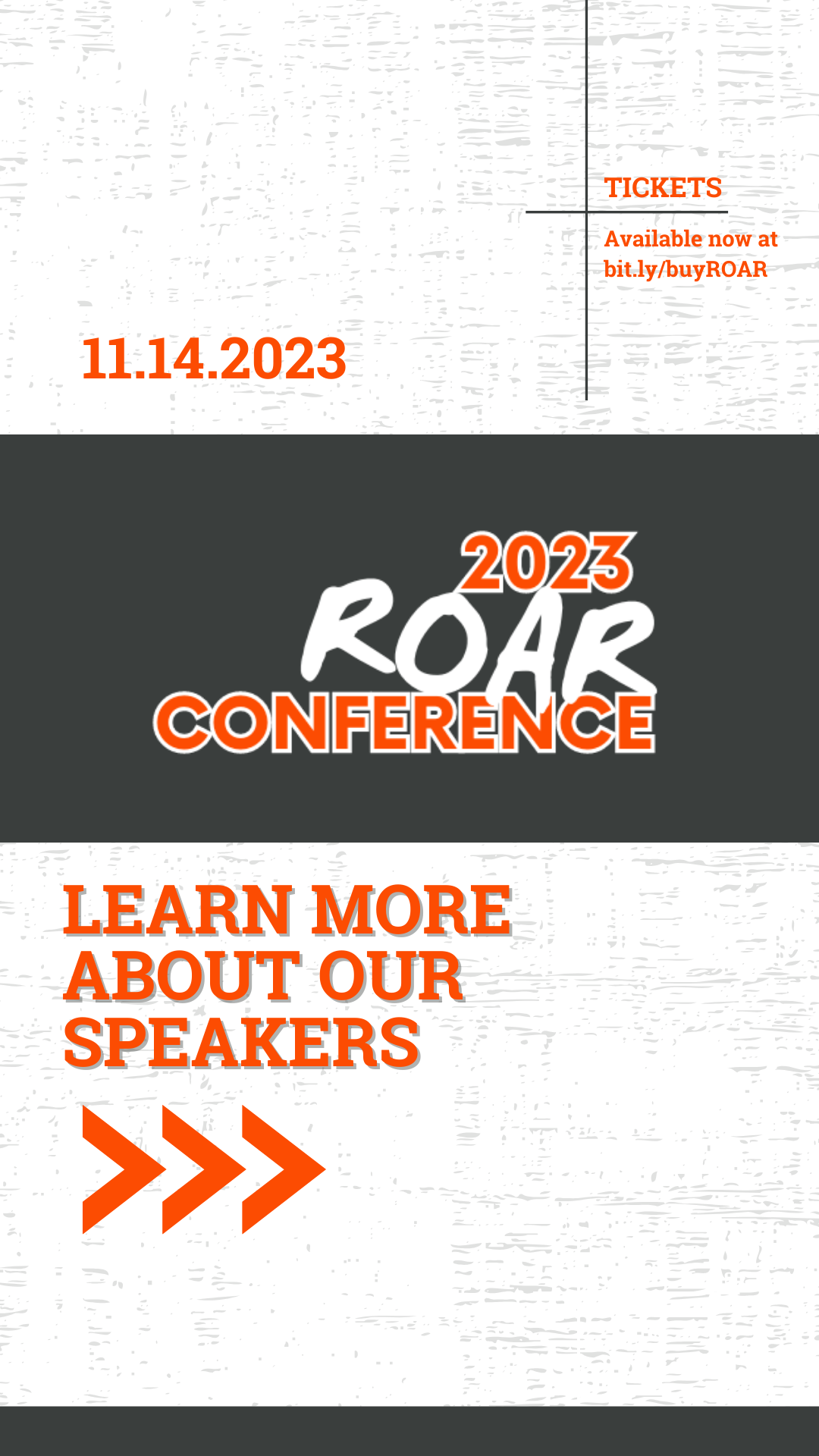 Aslan Roar Conference Stories29.png