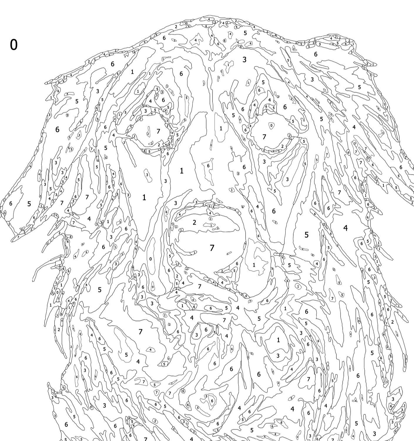 Paint your Pet by Number