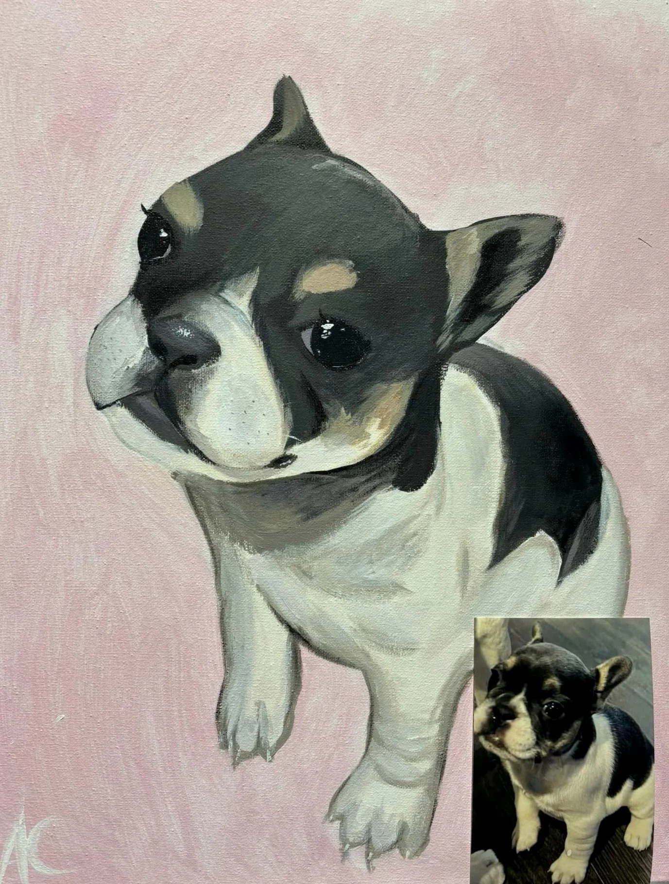 Image 5.jpg