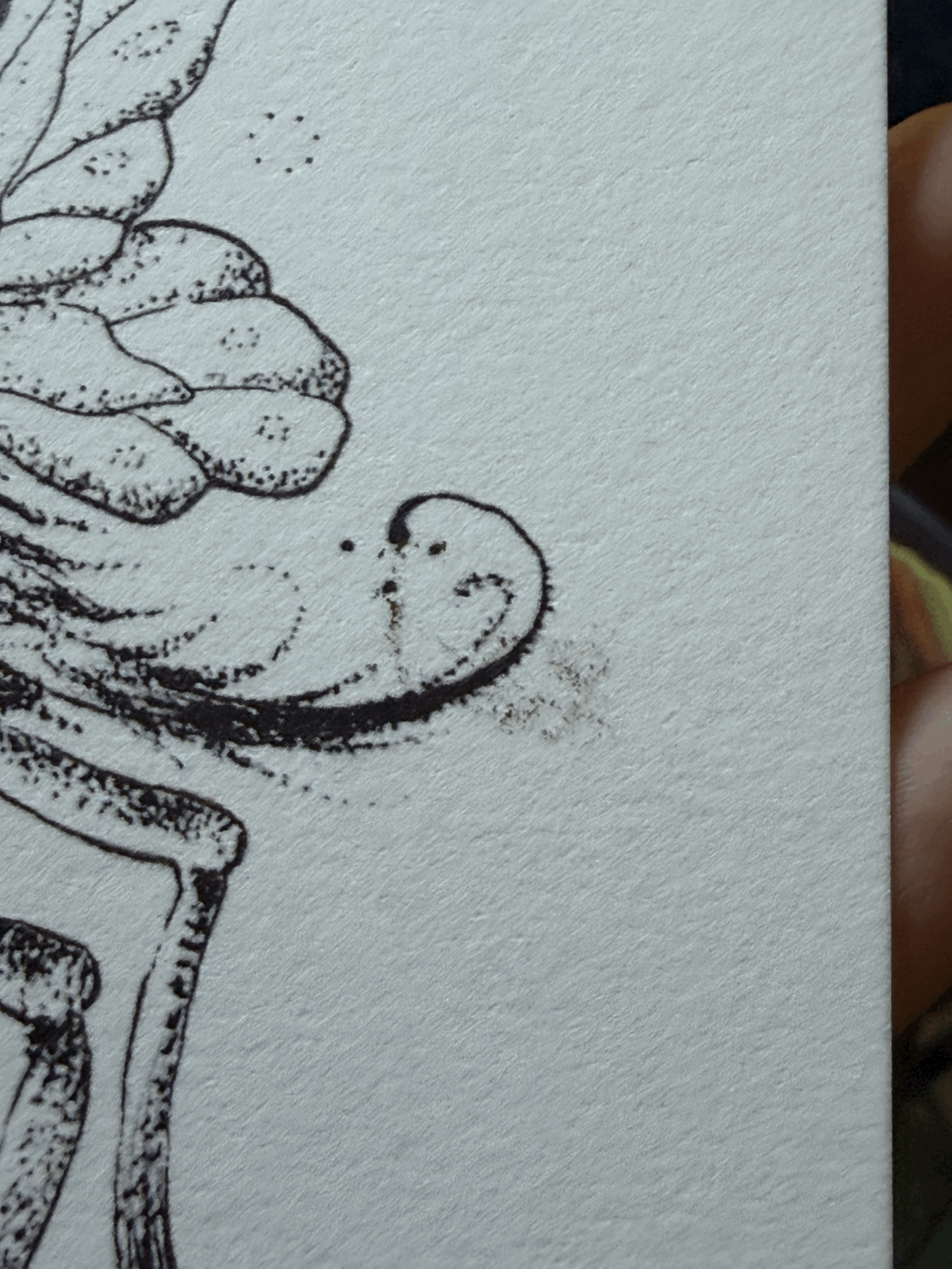 tempImageXfhIxl.gif
