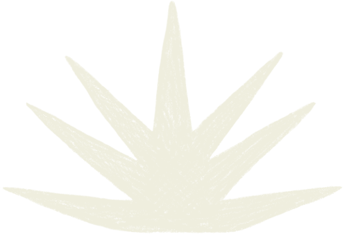 Abstract graphic icon of an agave plant