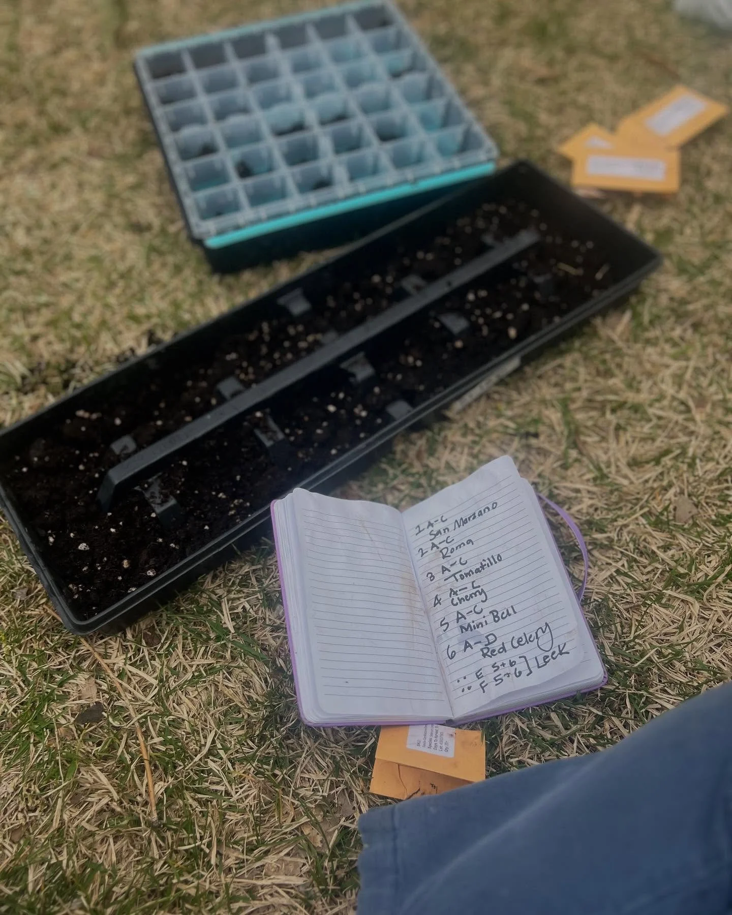 Planting seeds gives me hope 🌱 what gives you hope? Share below ⬇️ 

I come from many generations of family farmers and gardeners. Cultivators of nutrients for our bodies and beauty for our senses. Watchers of the weather and witnesses to the cycles