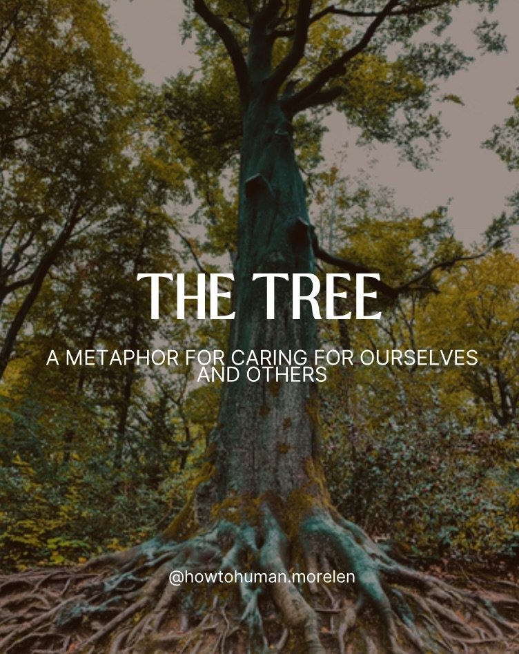 Like a tree - our happiness depends on our relationships with ourselves, others, and our environment. 

As humans, it can be tricky to navigate these areas of life in a sustainable way. 

The key is to nurture healthy relationships.

When life gets t