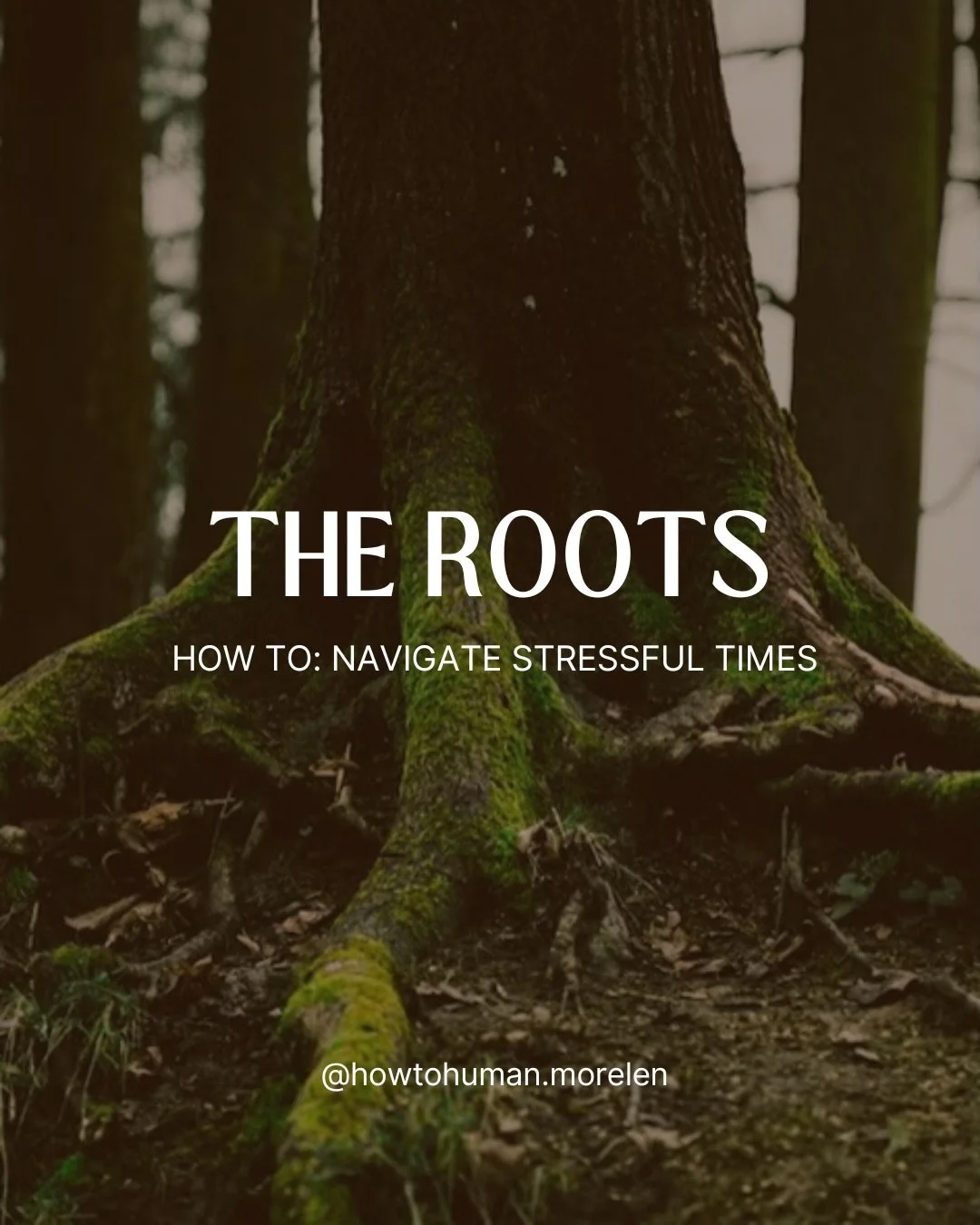 It&rsquo;s often hard to navigate times of struggle. Like a tree, it&rsquo;s helpful to go to your roots during these times. Scroll to explore what it means to be in the roots. 

Follow for more guidance on how to be human

Photo Credit: Slide 1: Nas