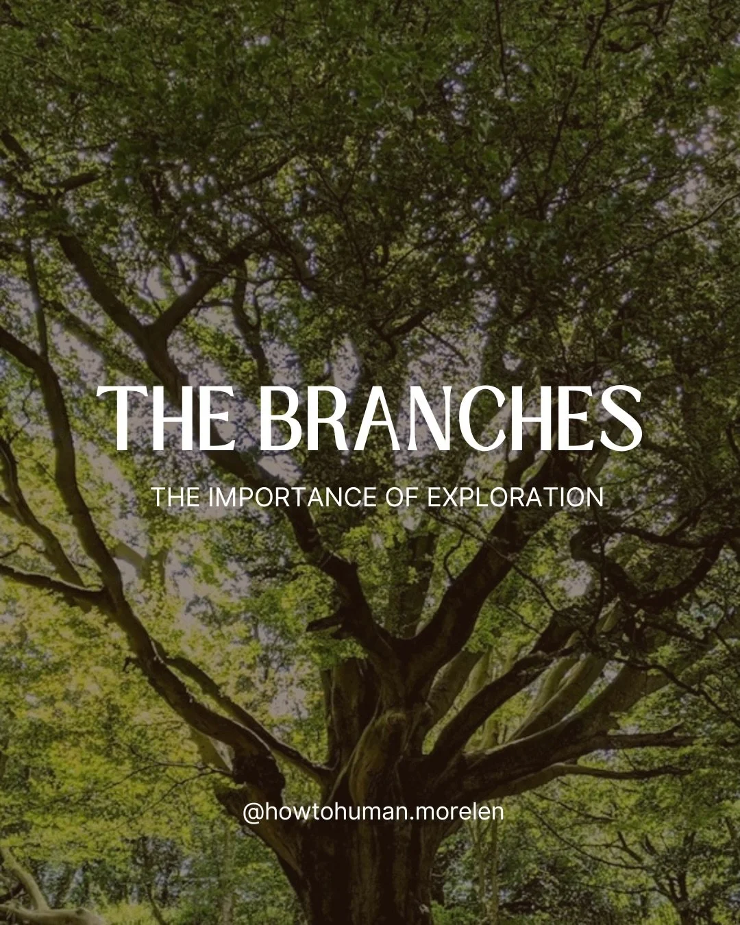 Like branches on a tree, we are healthiest when we branch out and explore. 

Exploration and play is an important part of being human.

When we&rsquo;re unsure what being healthy looks like, we can come back to the branches part of the tree metaphor 