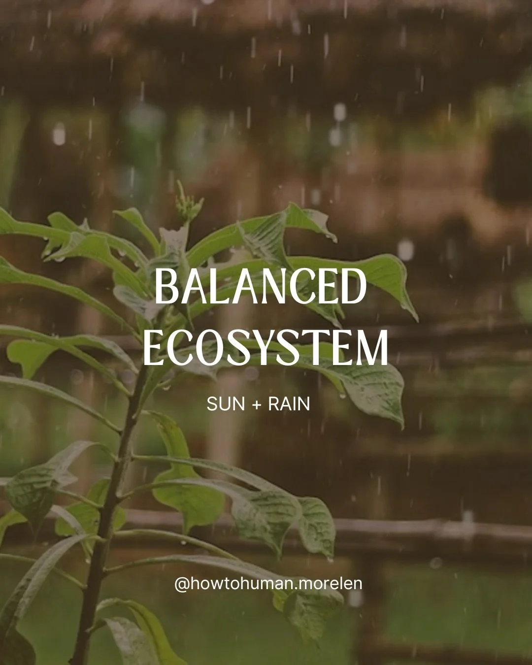Like a tree, humans need healthy ecosystems in our relationship to survive and thrive. 

It&rsquo;s often hard to intentionally cultivate a healthy ecosystem without knowing the key ingredients that are needed. 

When you&rsquo;re unsure of whether y
