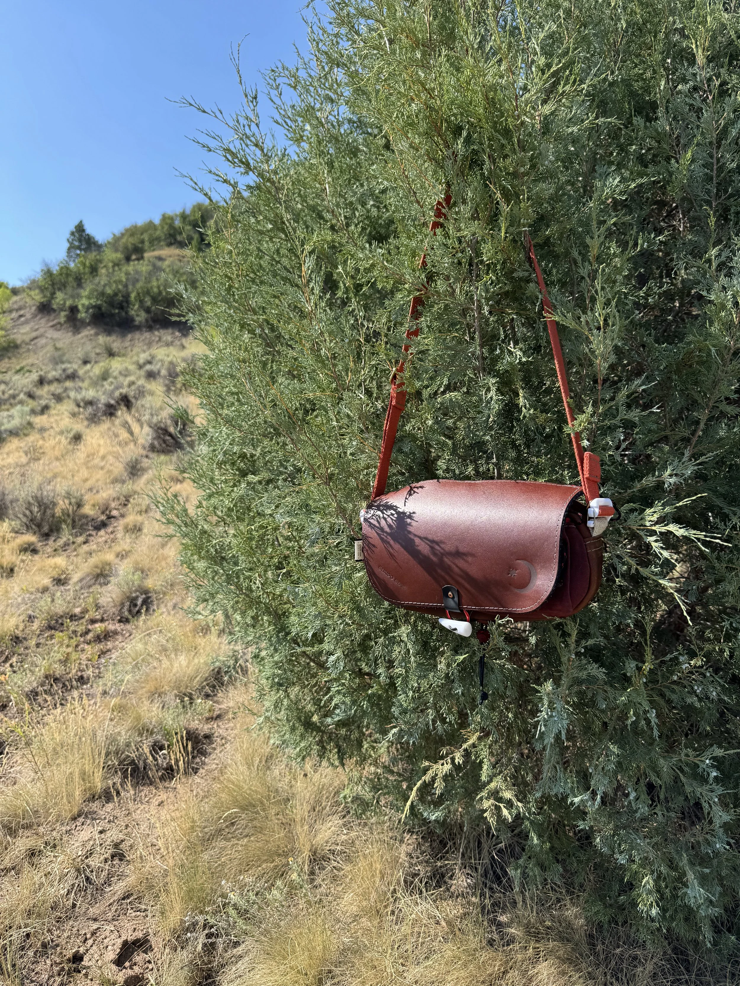 A brown leather shoulder bag hanging from a green shrub in a natural outdoor setting.