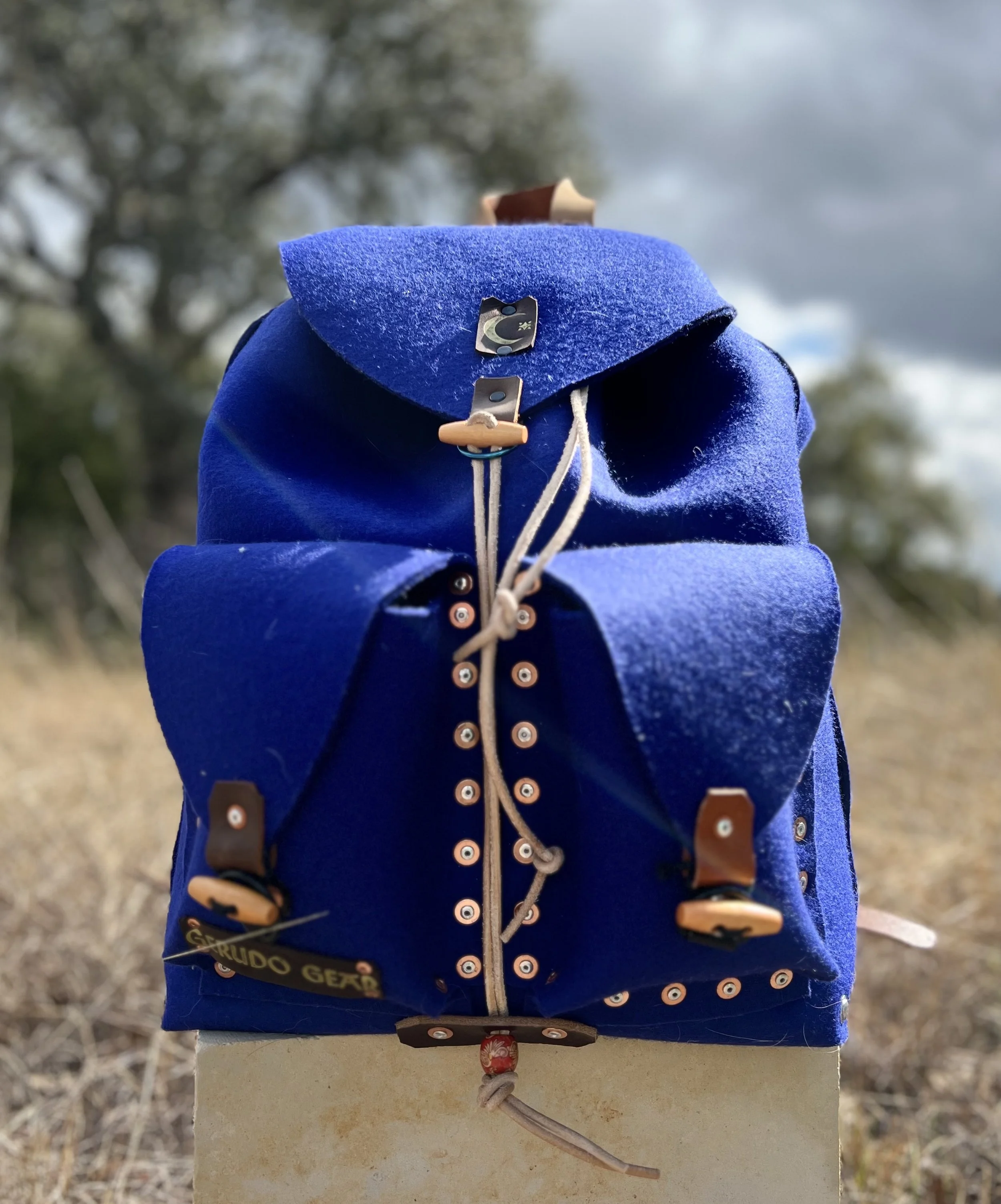 A blue outdoor backpack resting on a beige surface, with a cloudy sky and trees in the background.