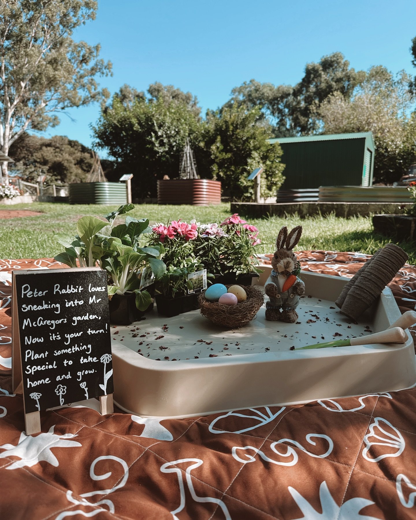 The most delightful Easter session today π£πͺΊπ
I often hear parents say how calm and relaxing our sessions feel, and it’s no coincidence. Being outdoors, surrounded by nature, helps to reduce stress and supports emotional regulation for both