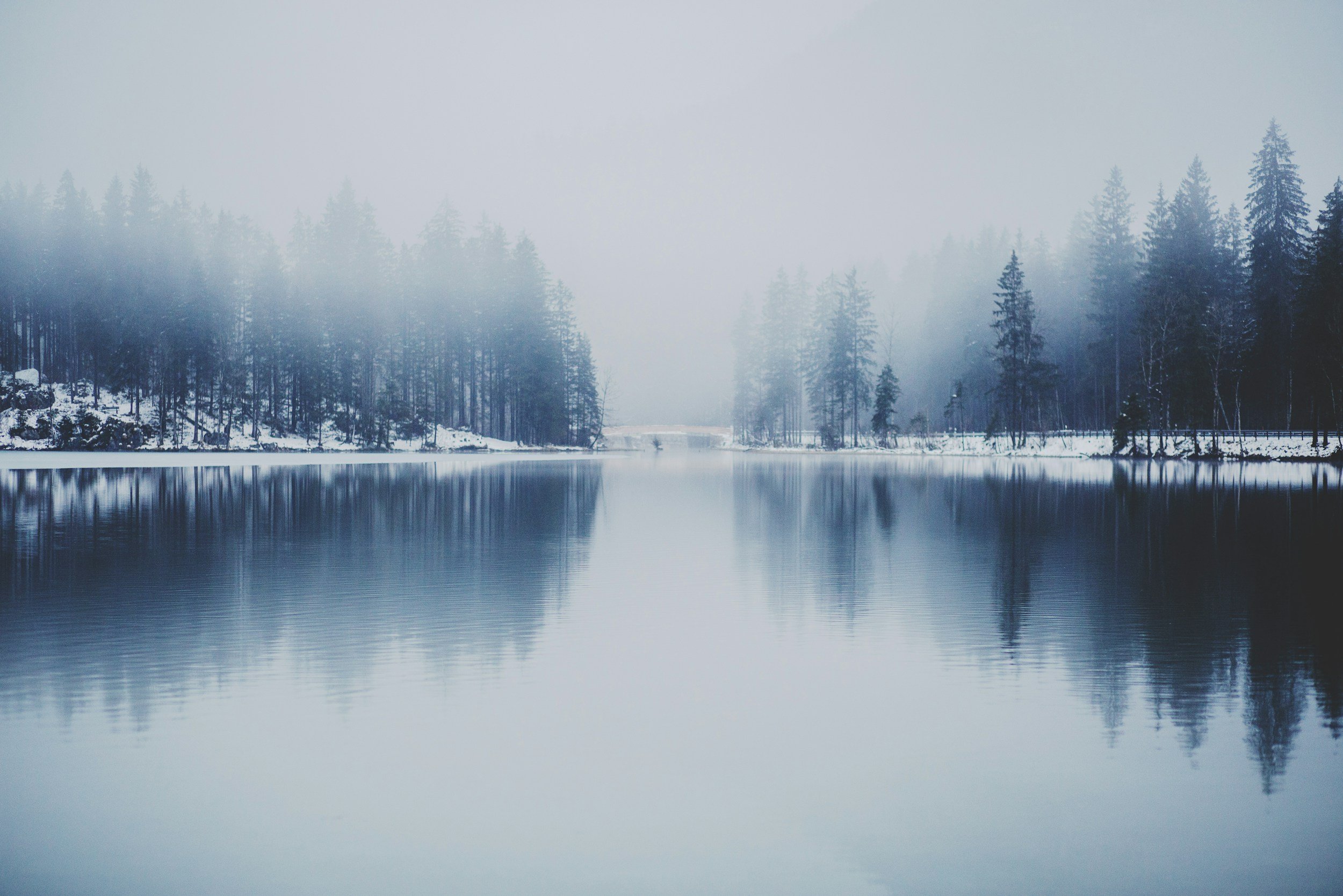 Nourish Yin This Winter