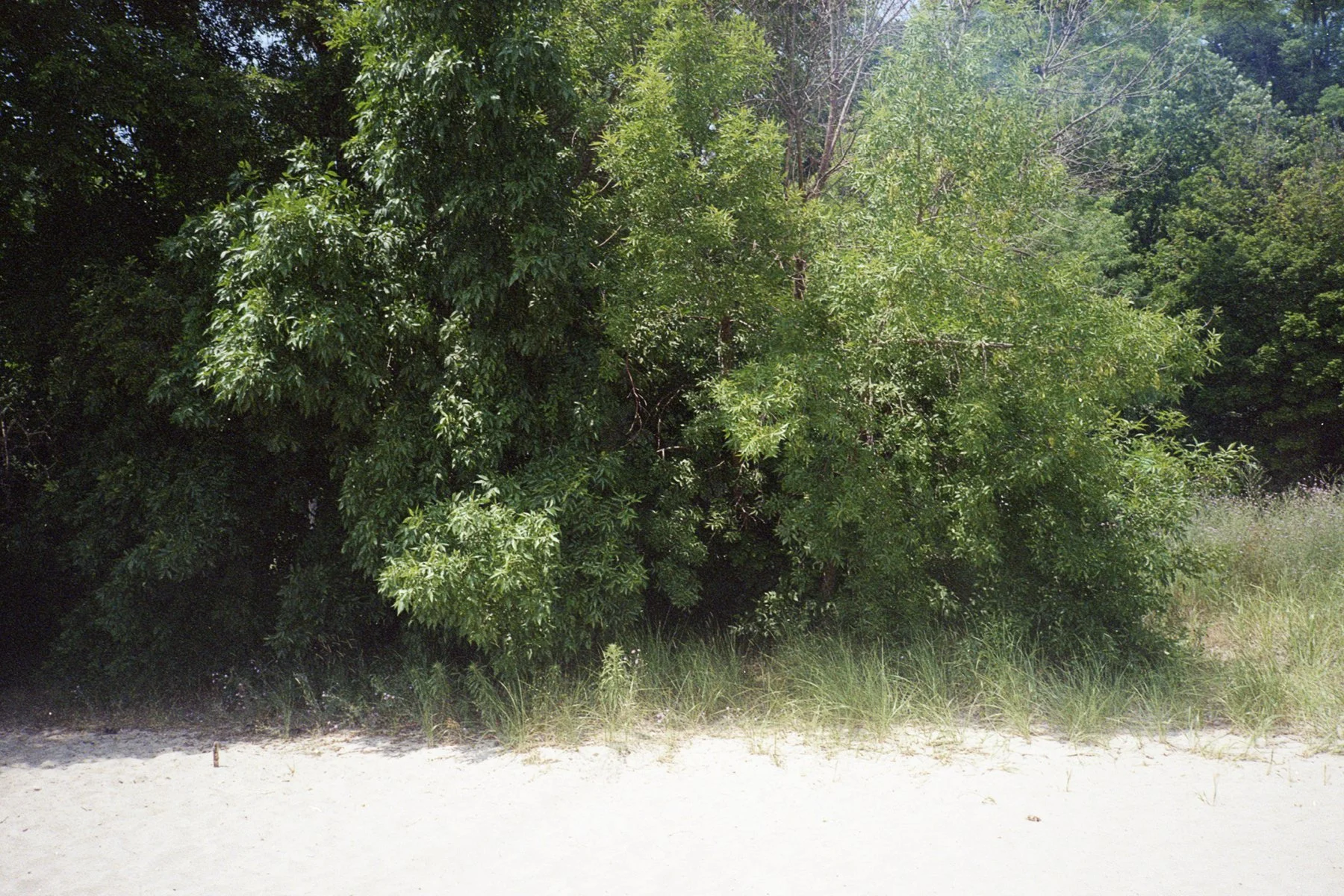 07.jpg