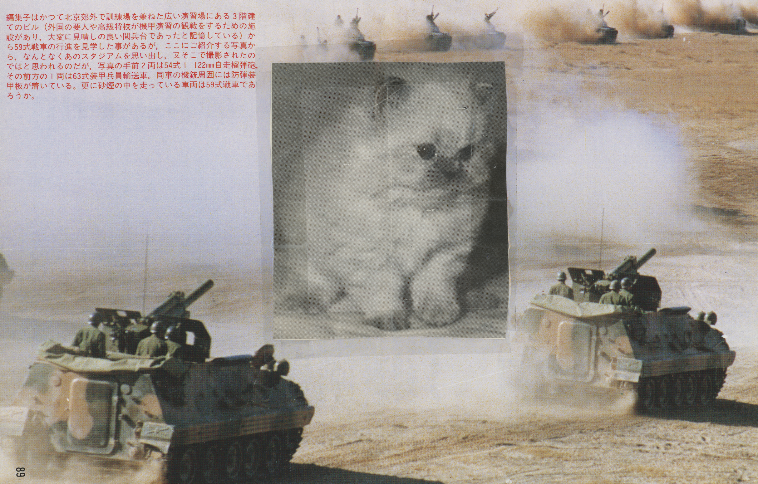 Shield Kitty (2025)