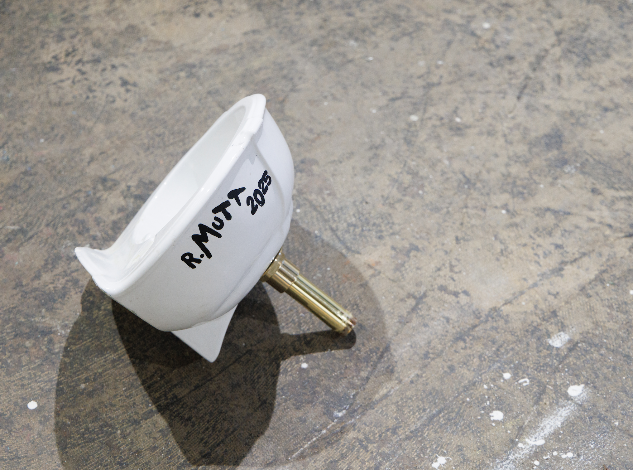 Work by Sophia Baldassano