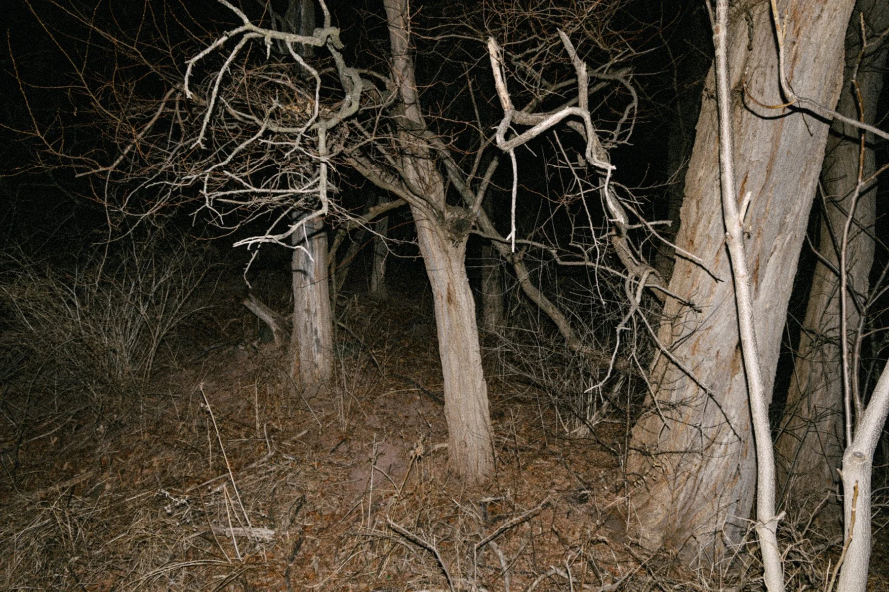 03.jpg