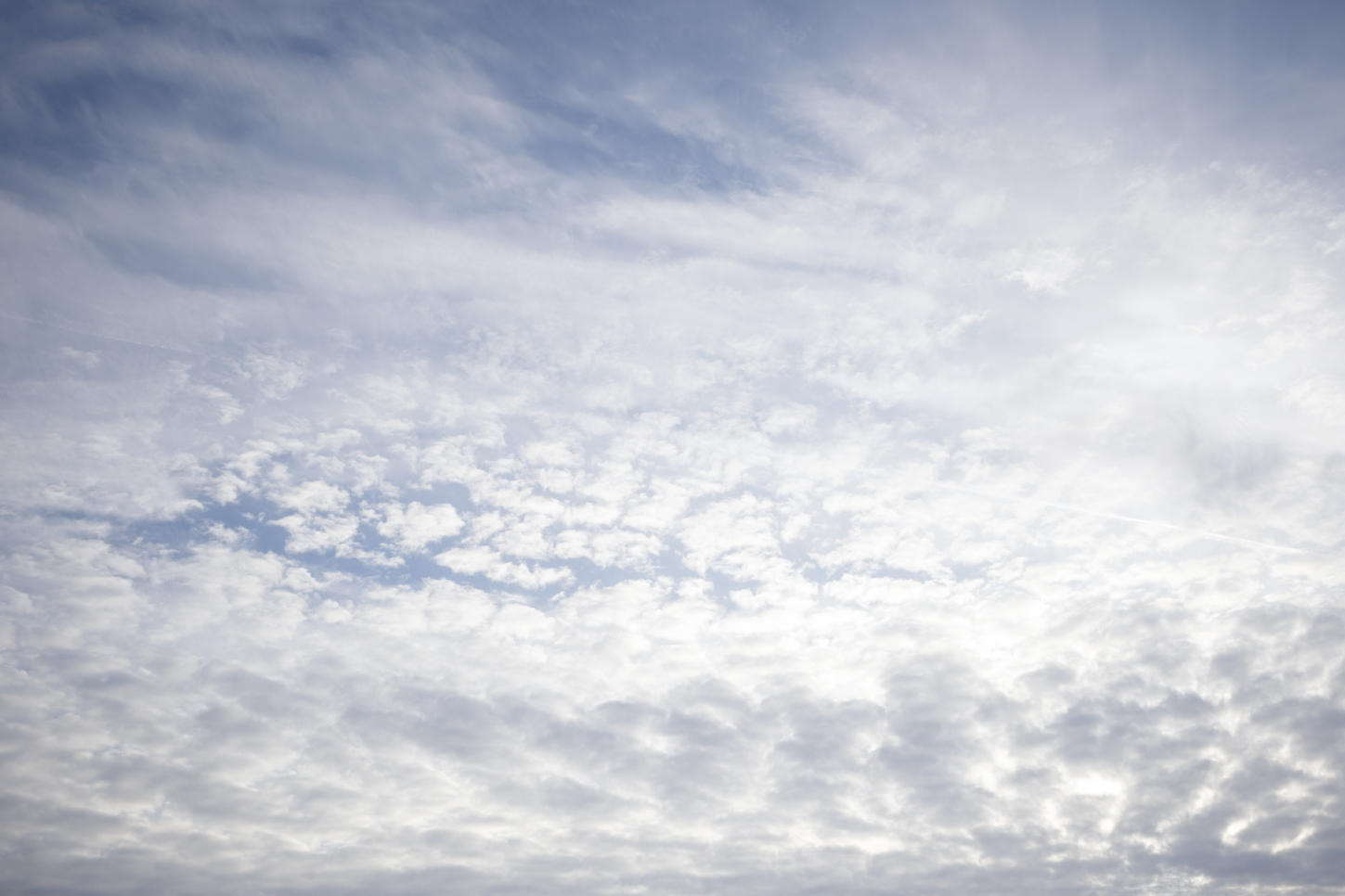 Screenshot 2026-03-05 at 1.52.39 PM.png