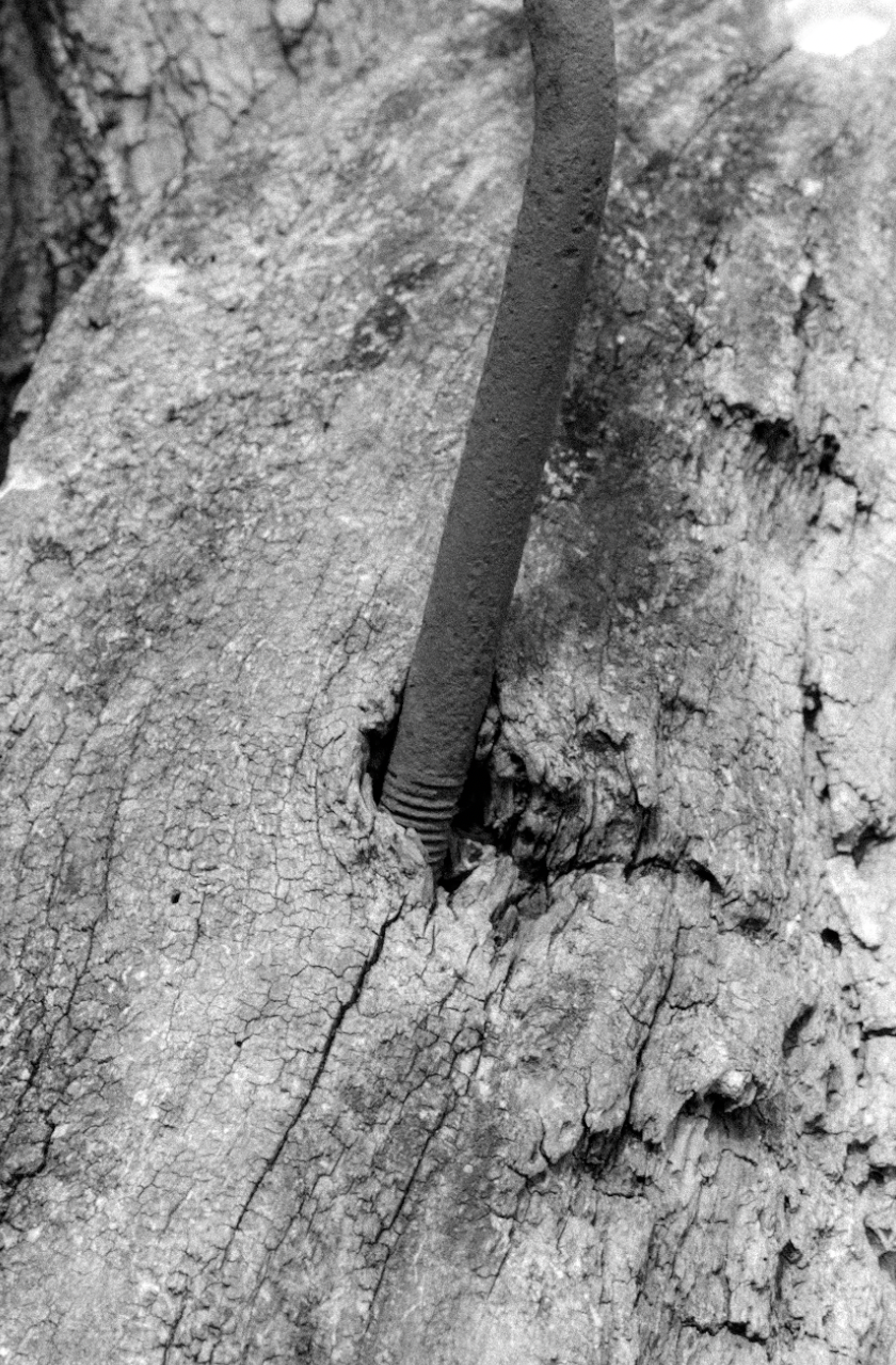 Screenshot 2026-04-14 at 1.58.41 PM.png