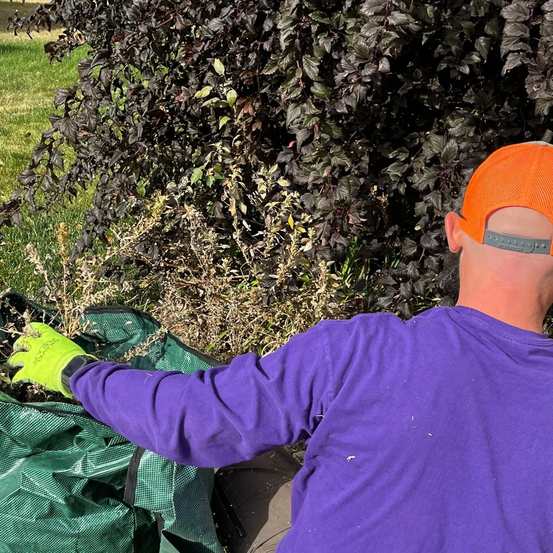seasonal lawn clean-up in East Des Moines, IA