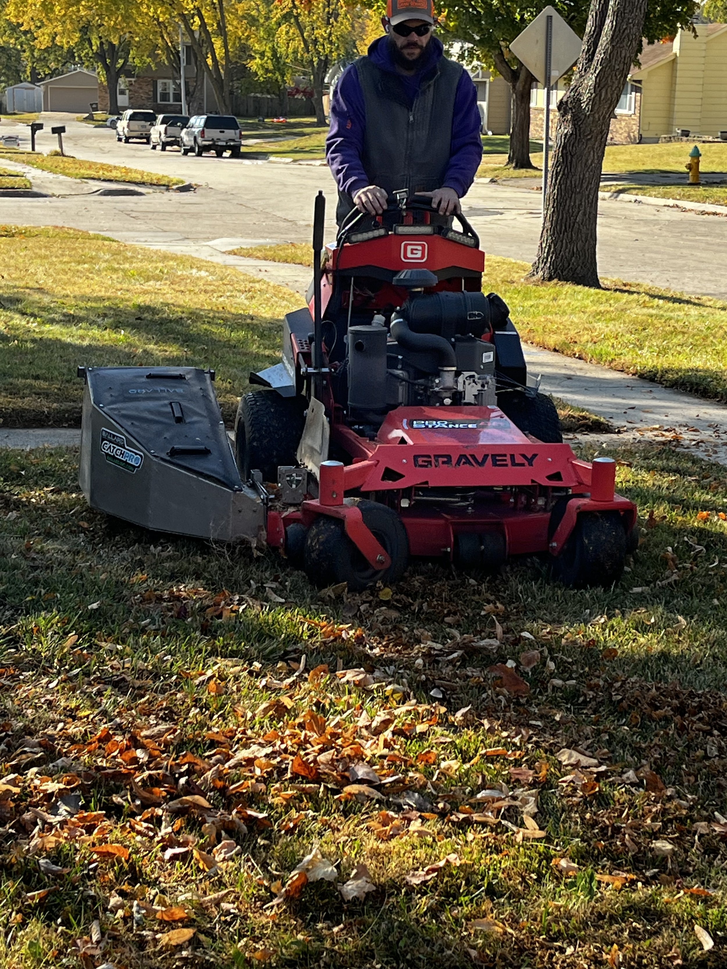 Removing leaves from the yard and landscaping